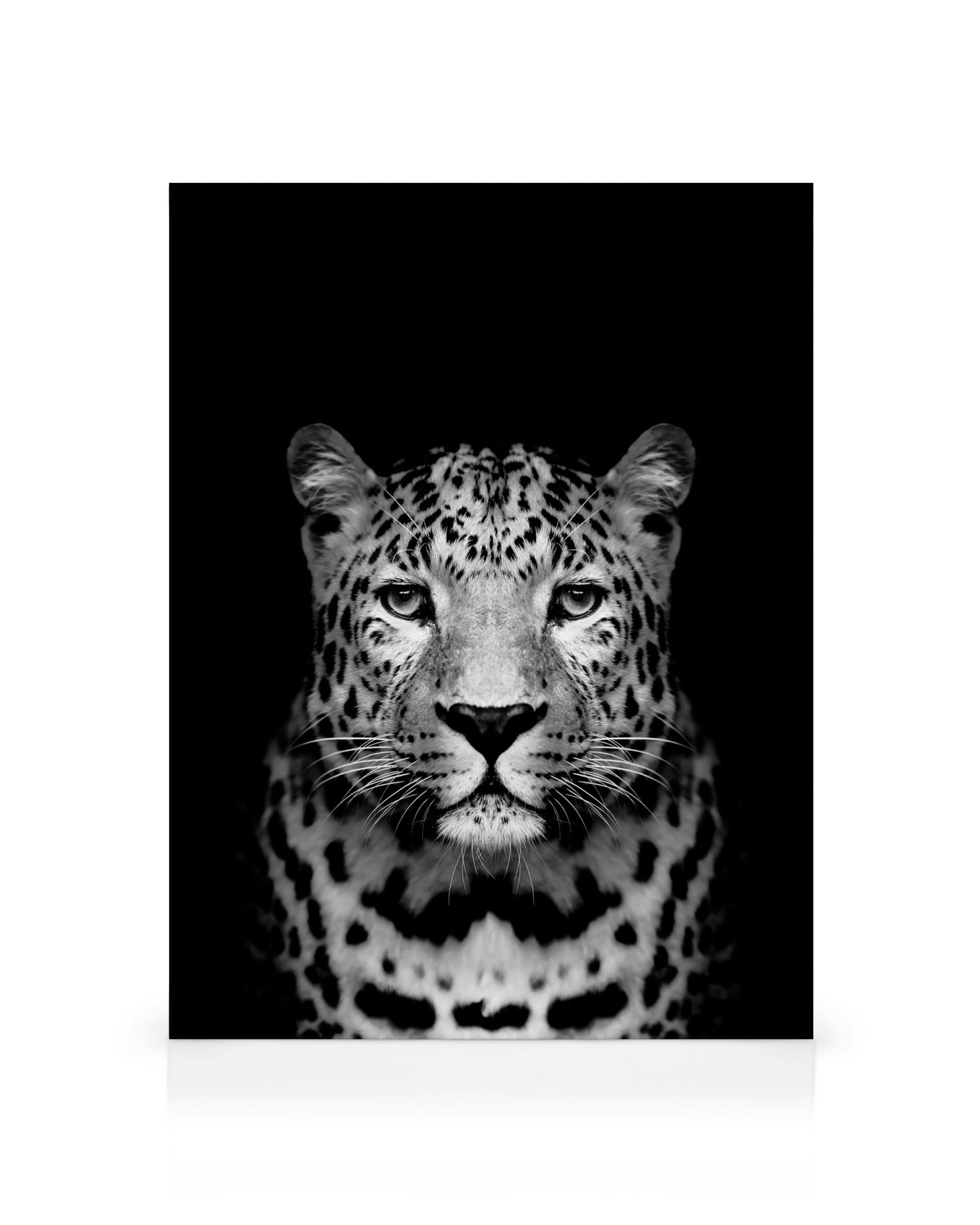 Schwarz-weißes Leopardengesicht-Leinwandbild mit detailliertem Fellmuster, direkt von vorne auf schwarzem Hintergrund.