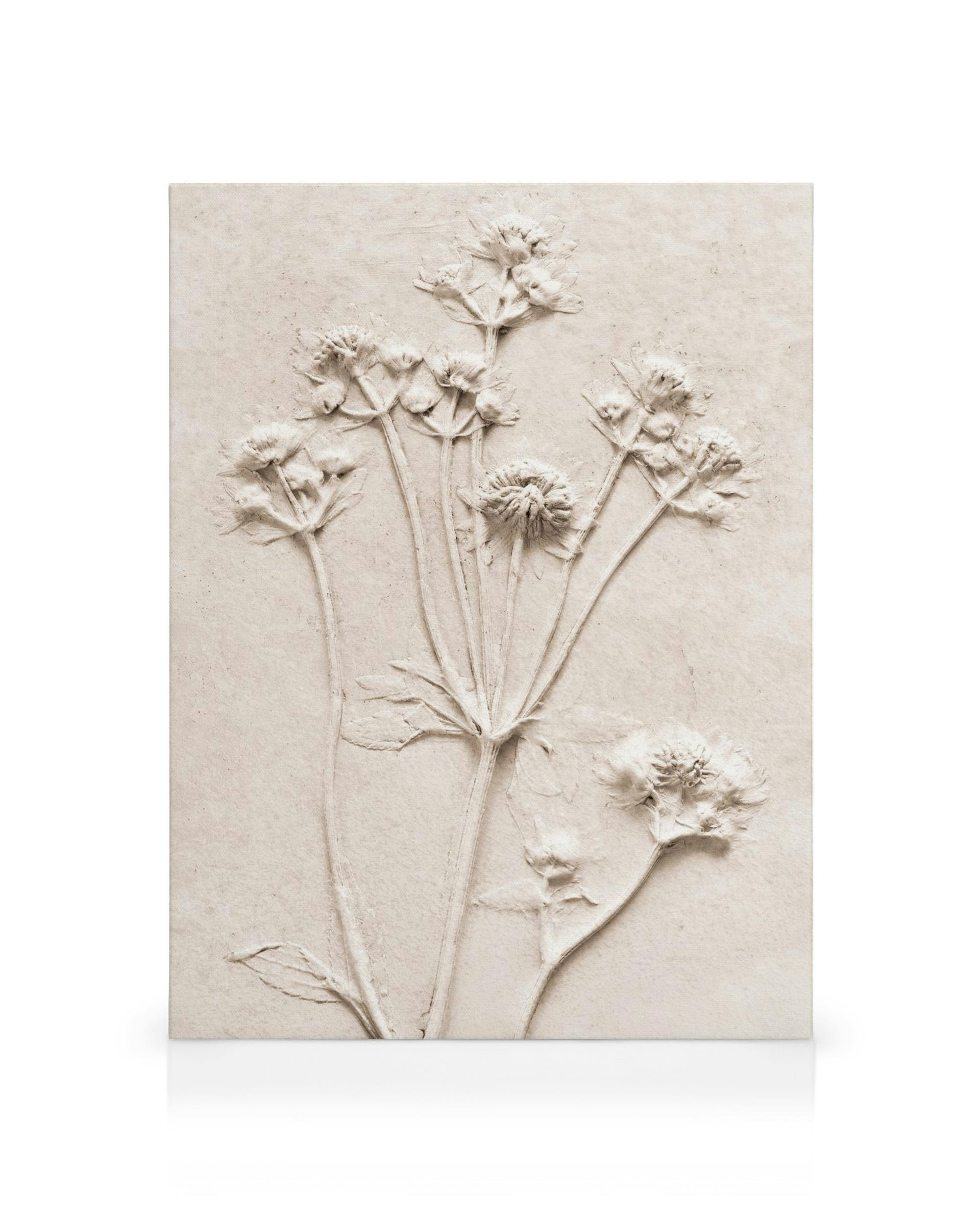 Verhoogde bloemen in neutrale tinten op beige canvas, zachte textuur, gedetailleerde botanische kunst