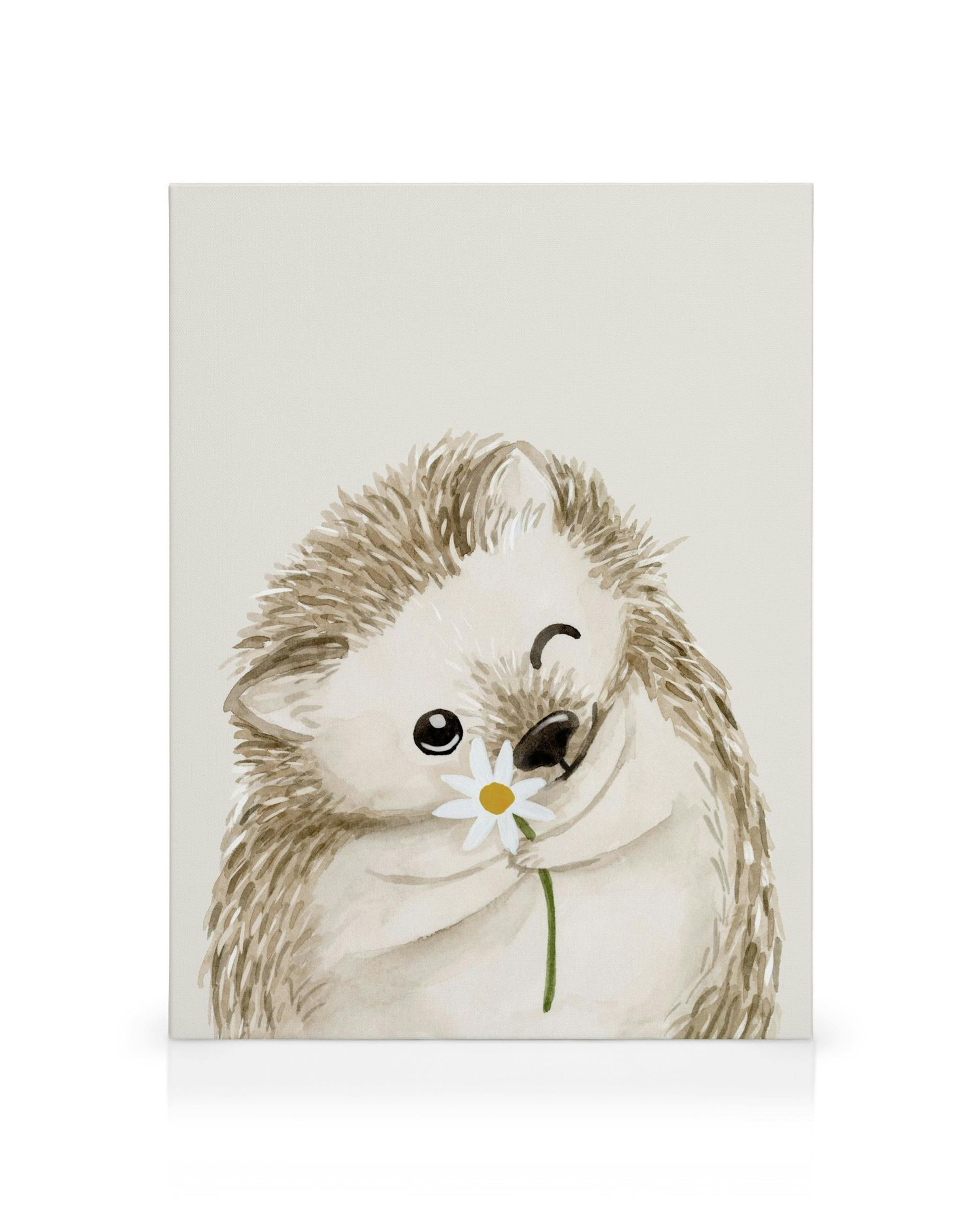 Roztomilý ježek s pomněnkou, namalovaný akvarelem, mrká, na plátně