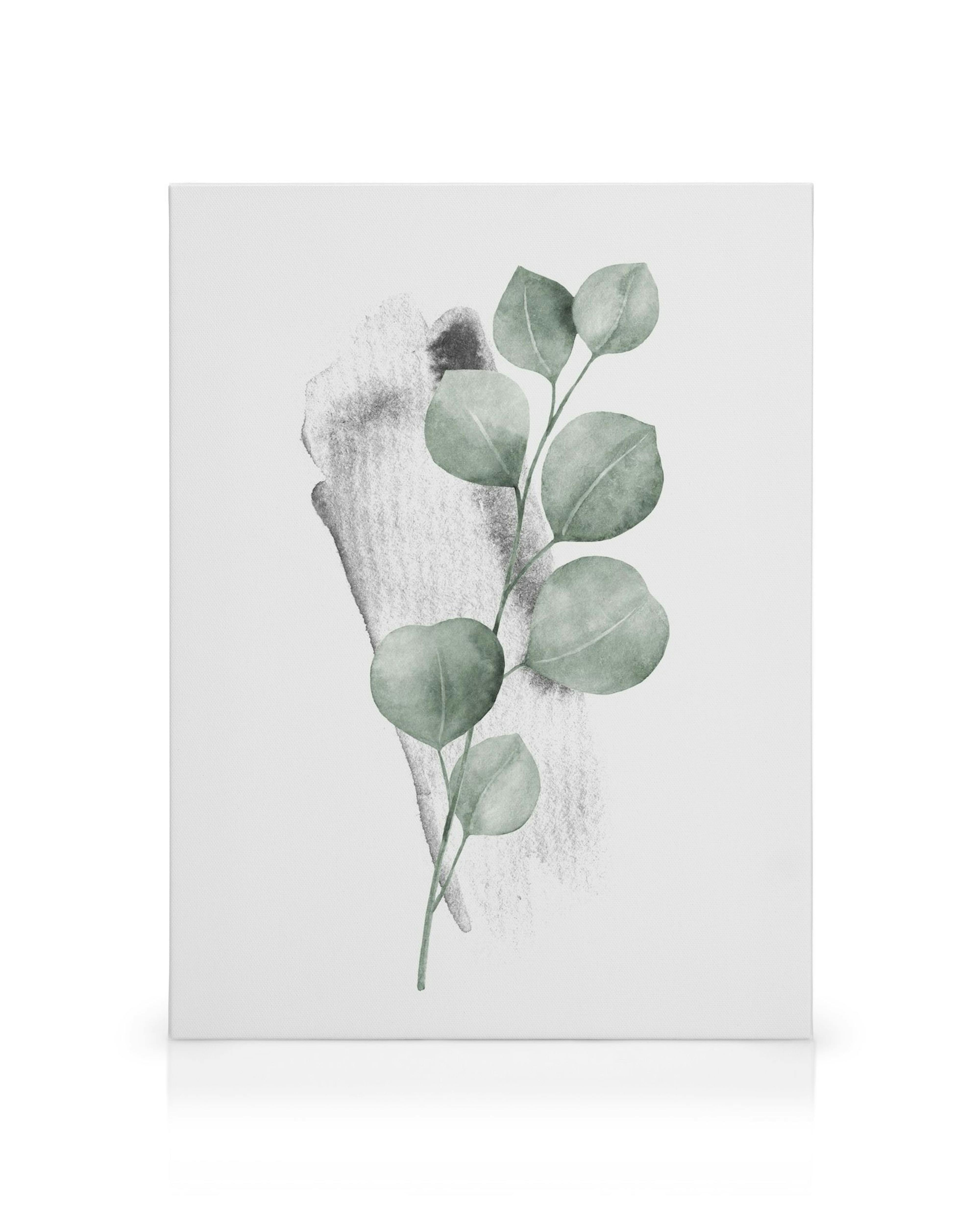 Lienzo con ilustración acuarela de tallo de eucalipto verde sobre fondo blanco y pincelada gris. Arte botánico.