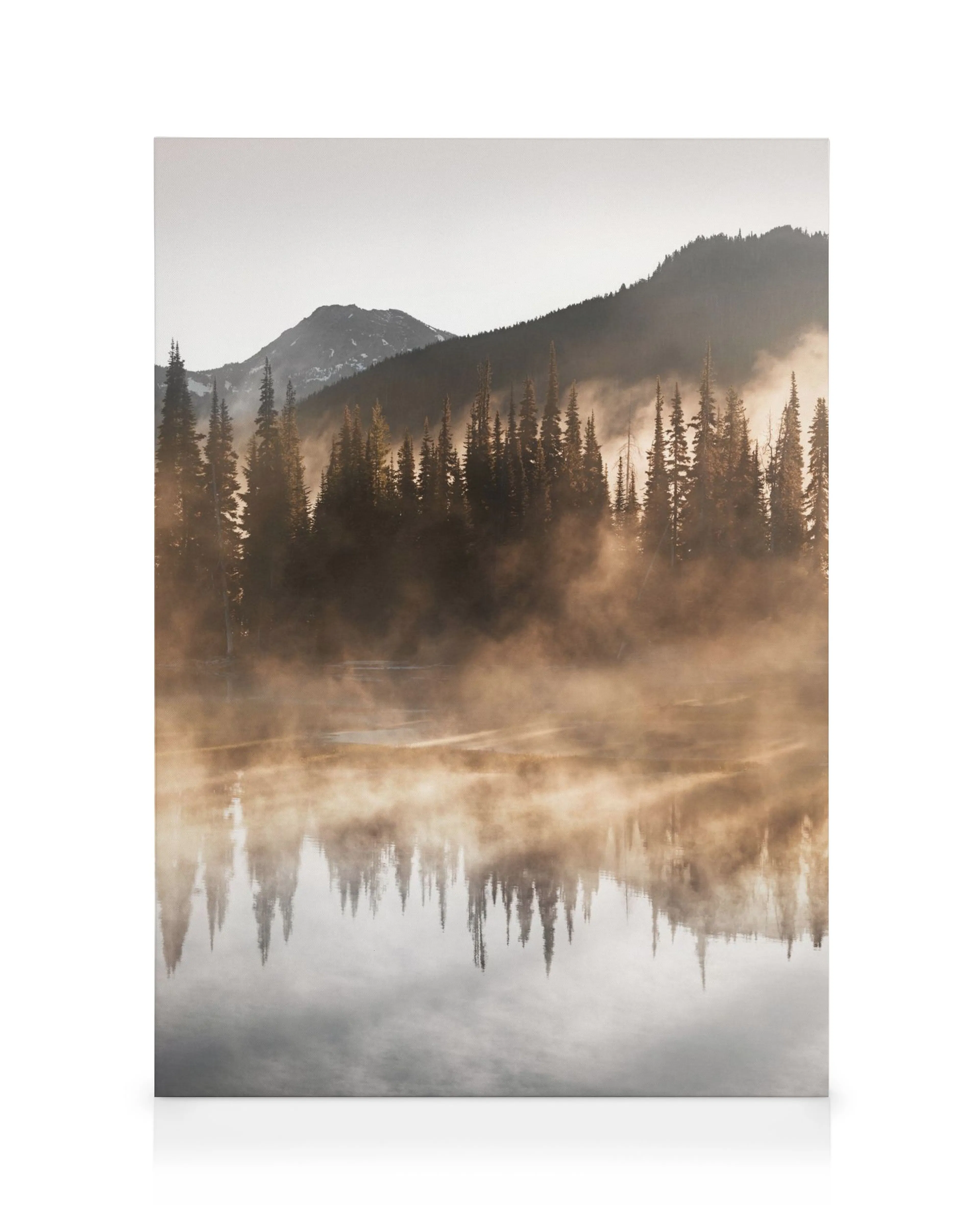 Misty lake at sunrise with reflections of tall pine trees and mountains, creating an ethereal landscape scene.