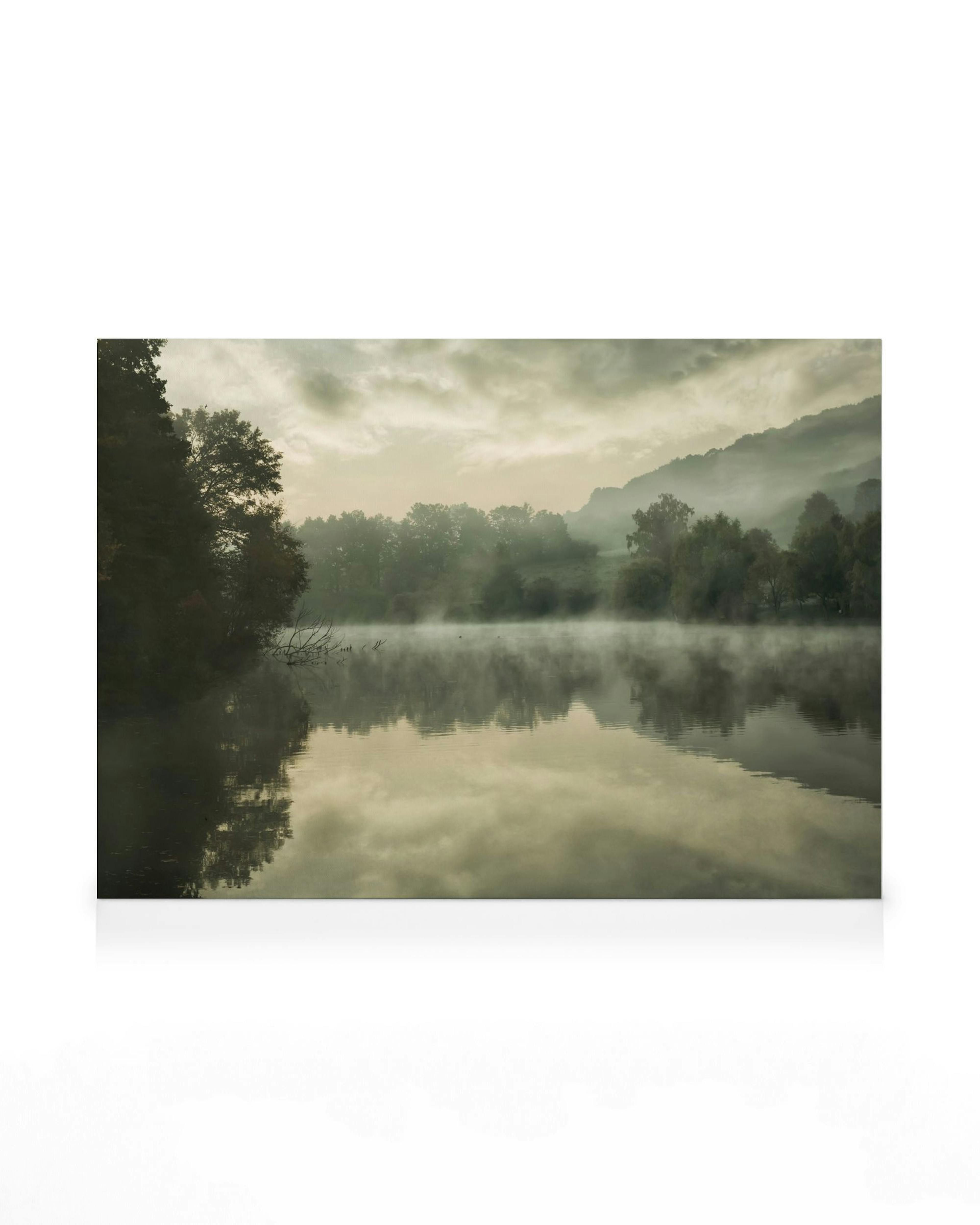 Grøn sølærred med tåget landskab, træer og bjerge, reflekteret i vandet under en overskyet himmel.