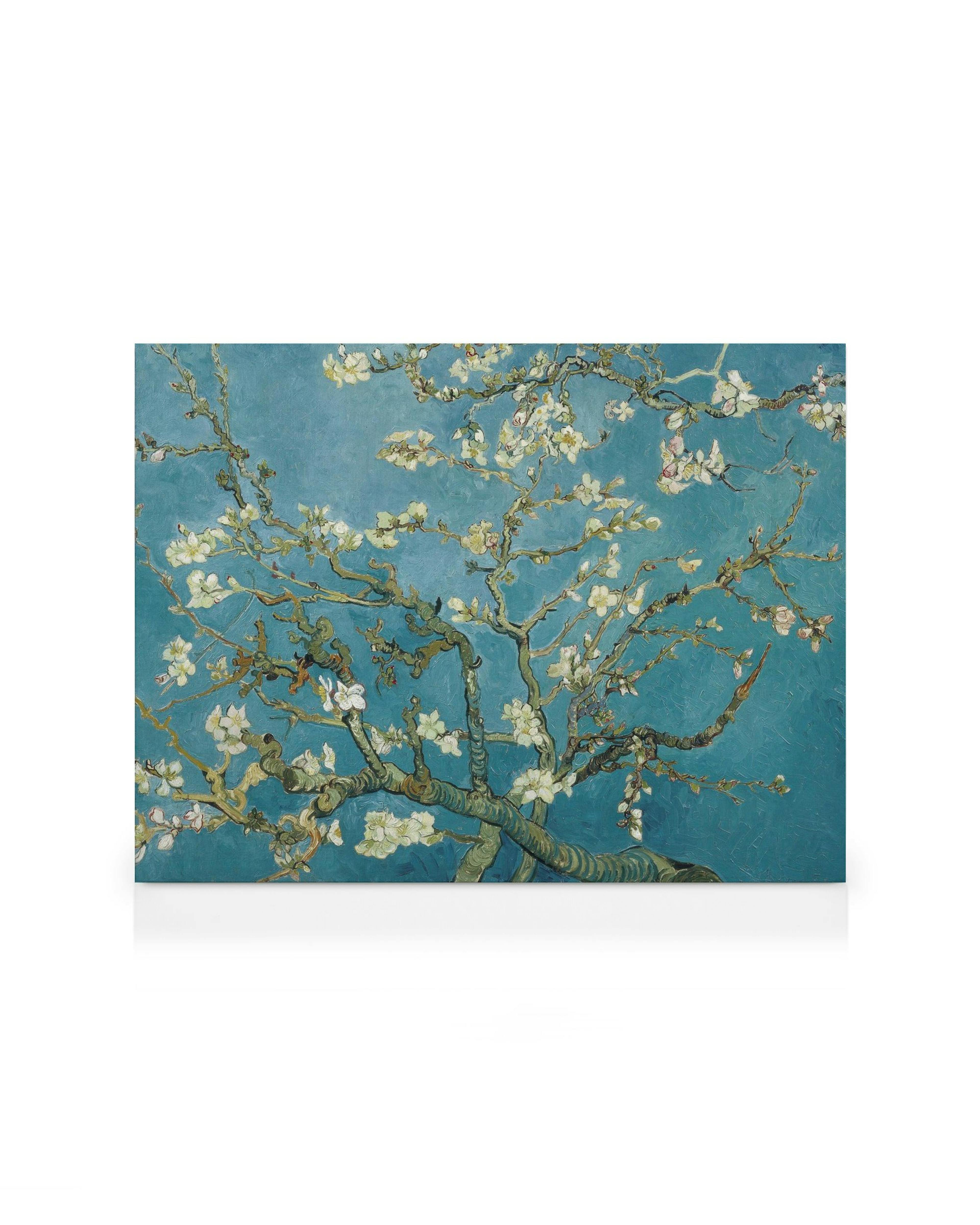 Van Goghs Almond Blossom canvas print, featuring a tree with white flowers against a blue-green background.