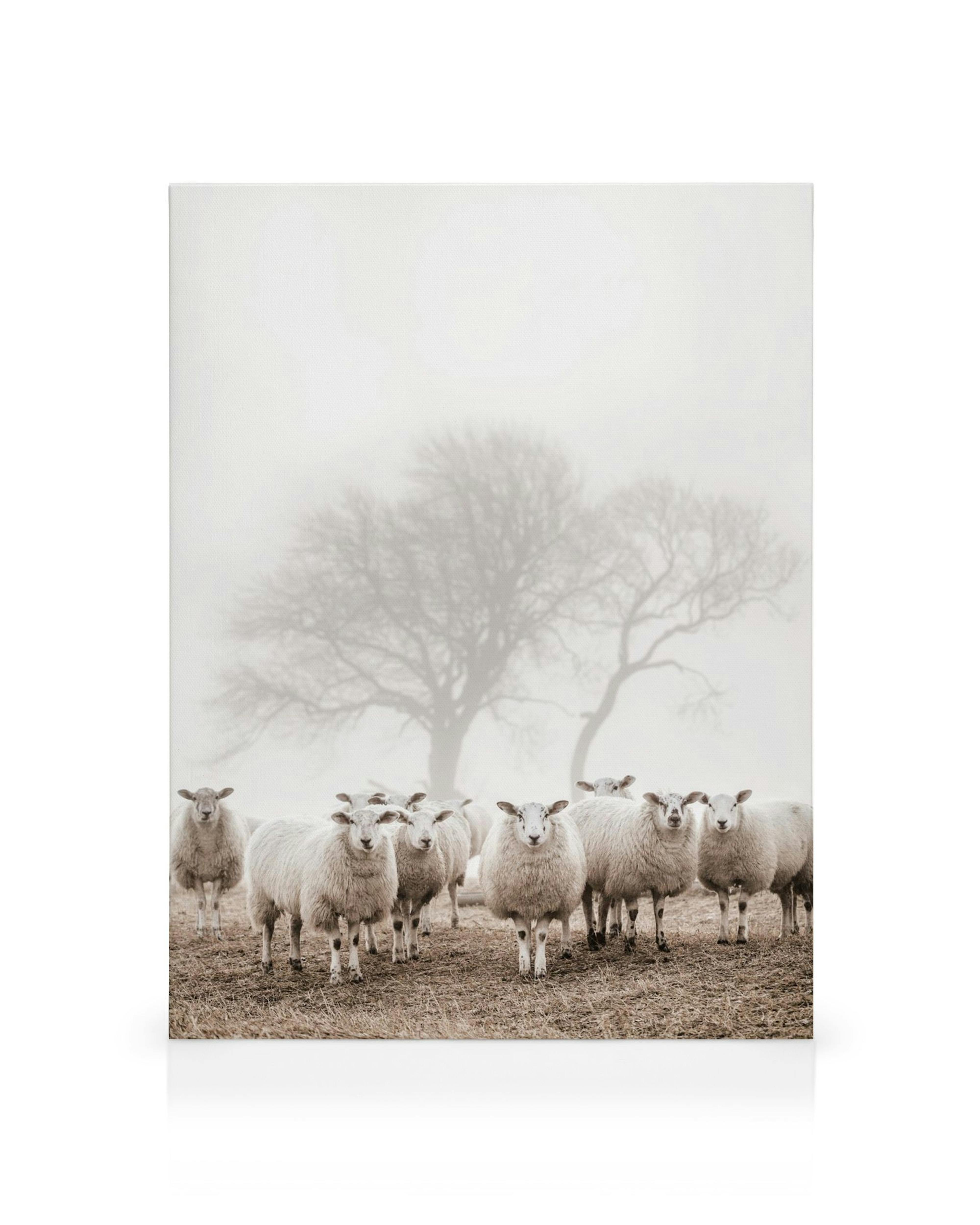 Canvas met schapen in mistig veld, kale boom, gedempte tinten wit, bruin en beige, vredige sfeer.