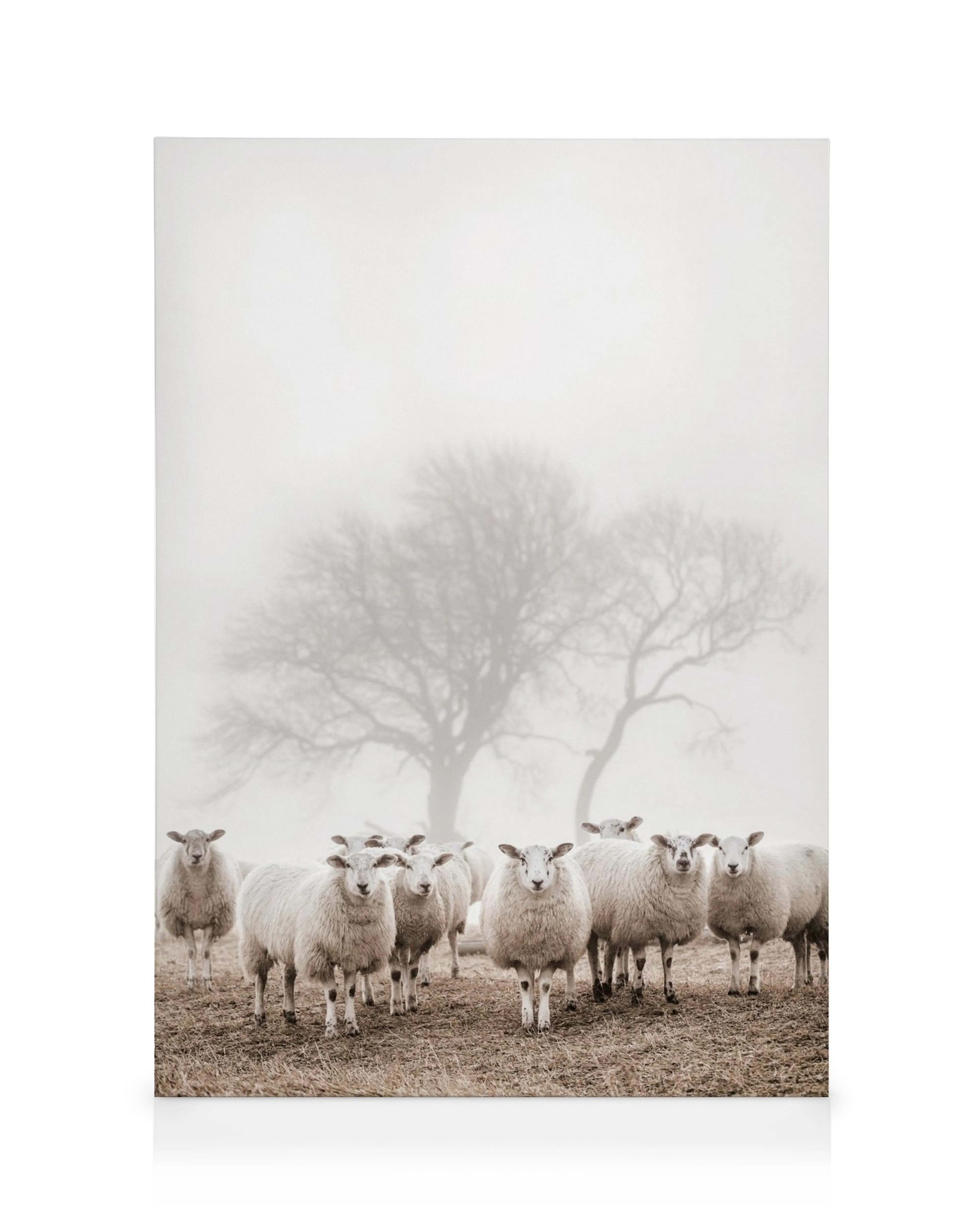 Toile de moutons dans un champ brumeux avec un arbre nu, tons atténués blanc, marron et beige, typographie Affiche
