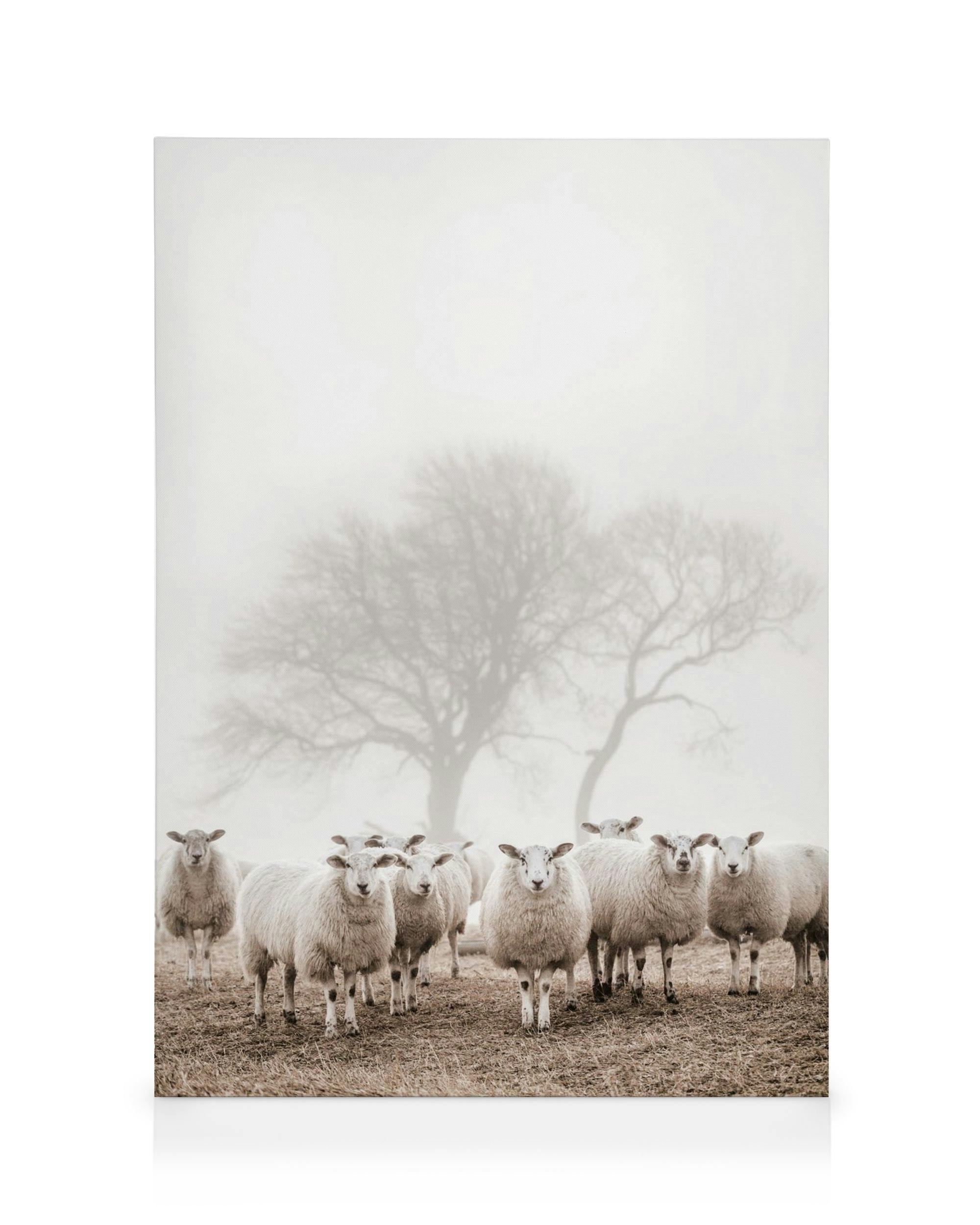 Canvas met schapen in mistig veld, kale boom, gedempte tinten wit, bruin en beige, vredige sfeer.