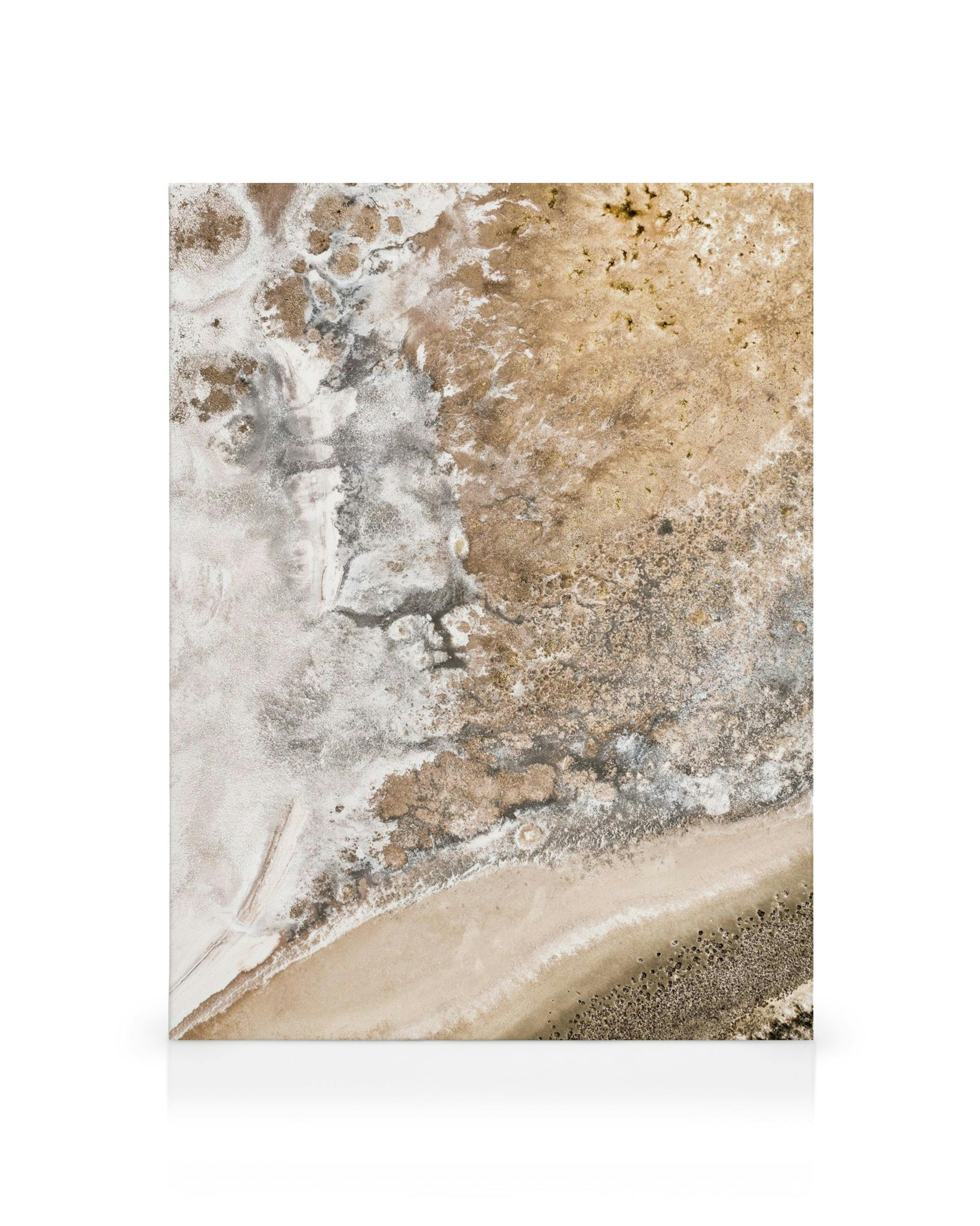 Kultainen suolajärvi kanvaasi ylhäältä kuvattuna, hiekkaranta ja valkoisia suolamuodostelmia.