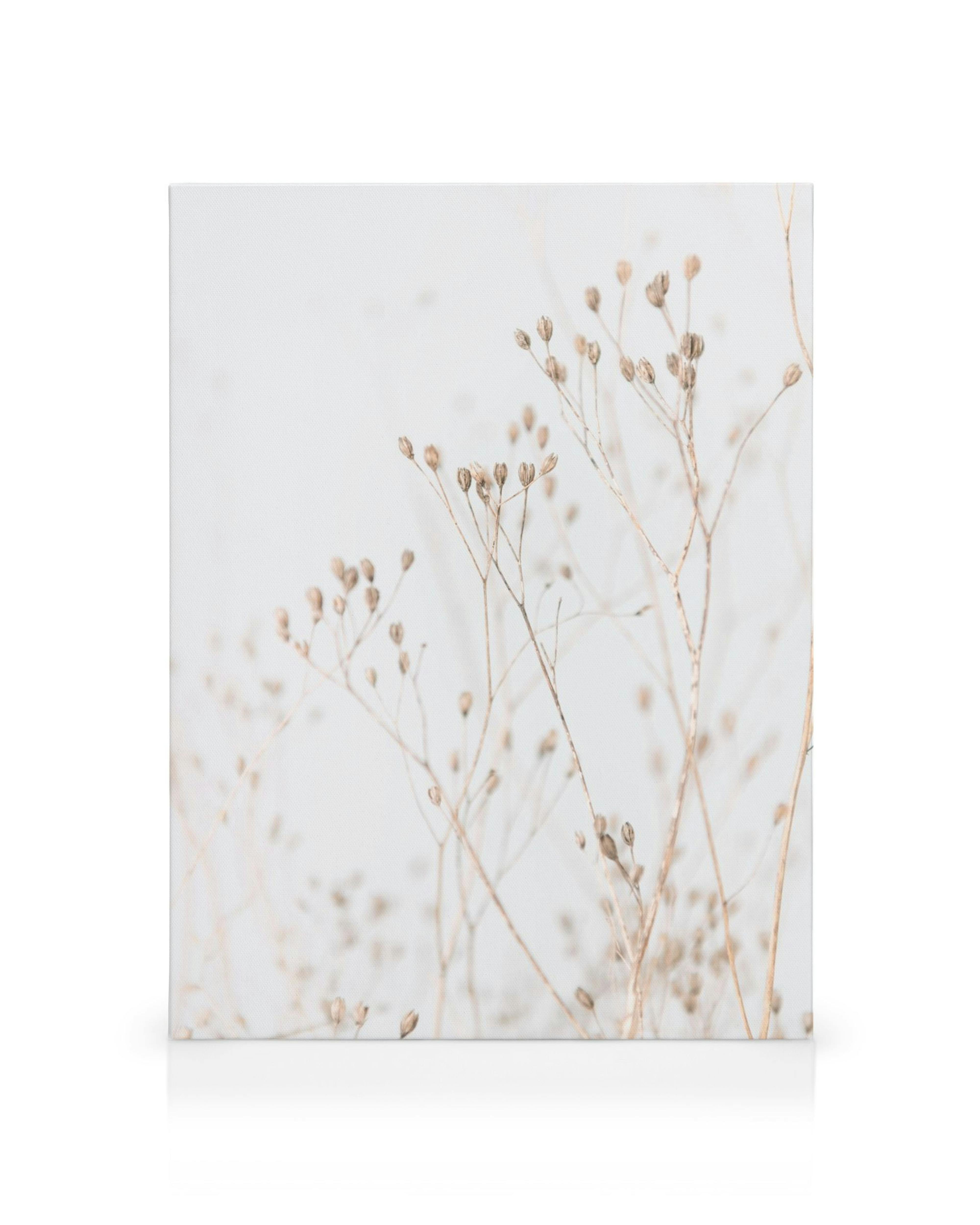 Quadro em tela com ramos finos em tons suaves, botões redondos e fundo branco, criando um ambiente calmo e elegante.