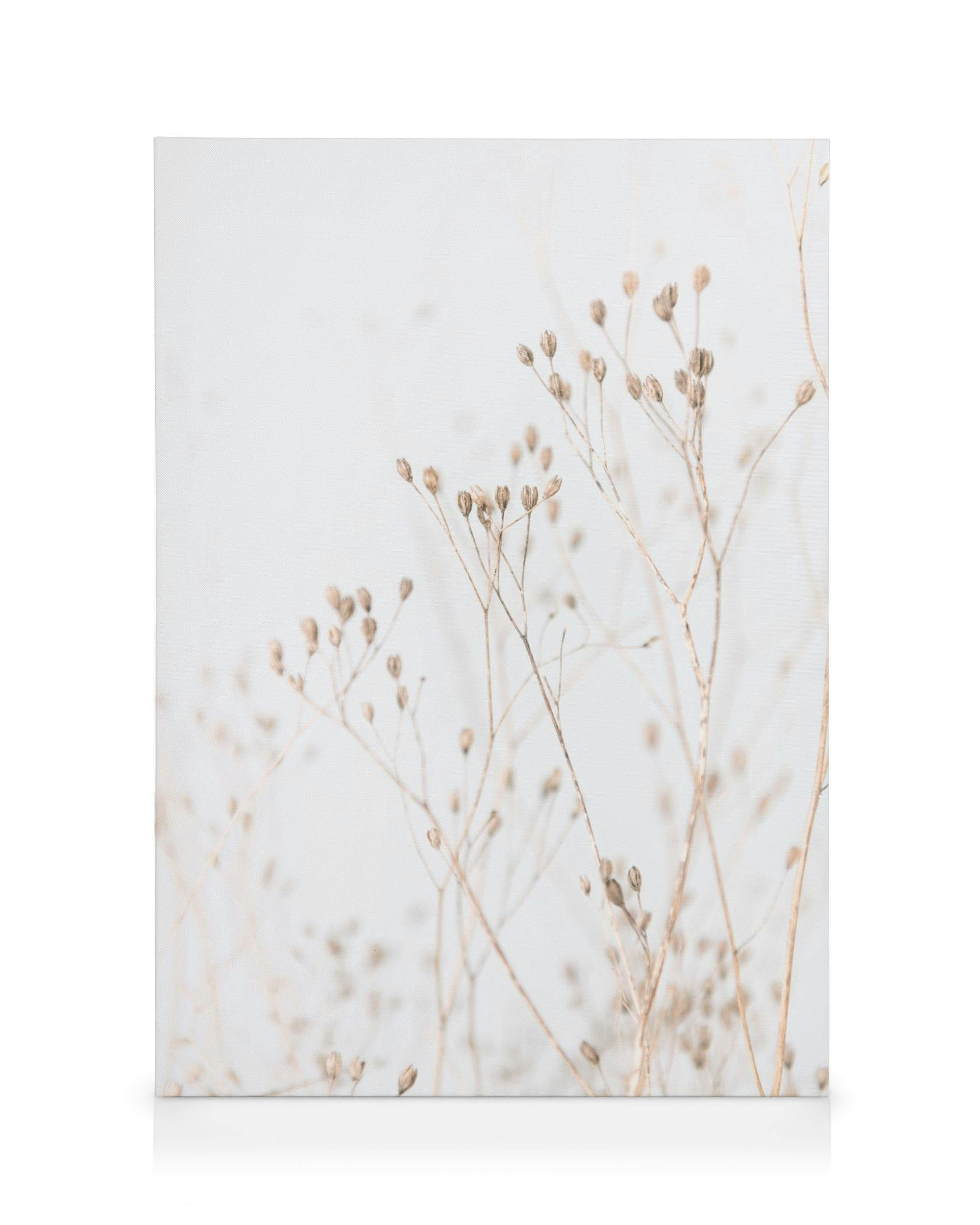 Canvas Prints Grass In Soft Tones Canvas print (50x70 cm)