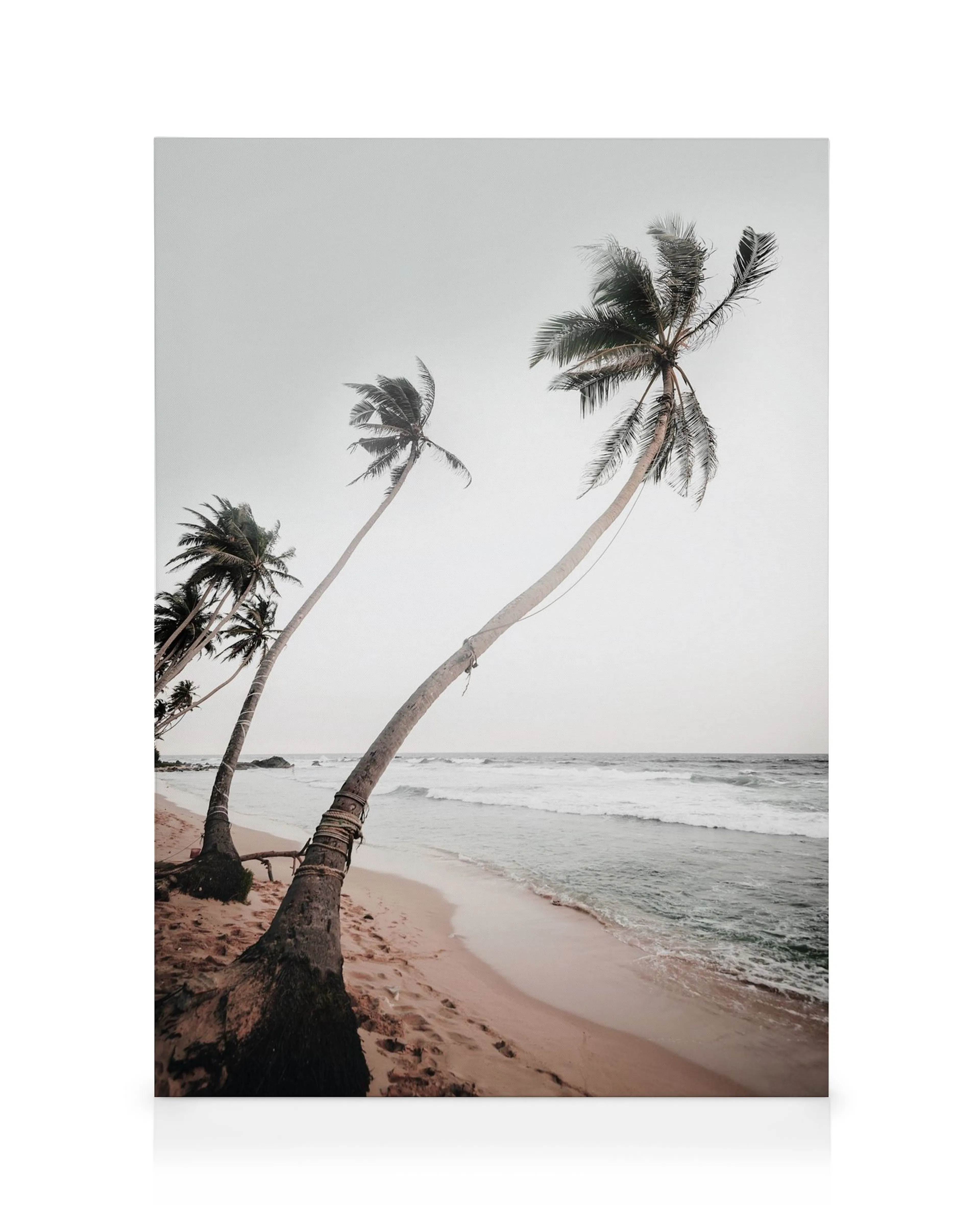 Sri Lanka palms canvas print with three leaning palm trees on a sandy beach with gentle waves