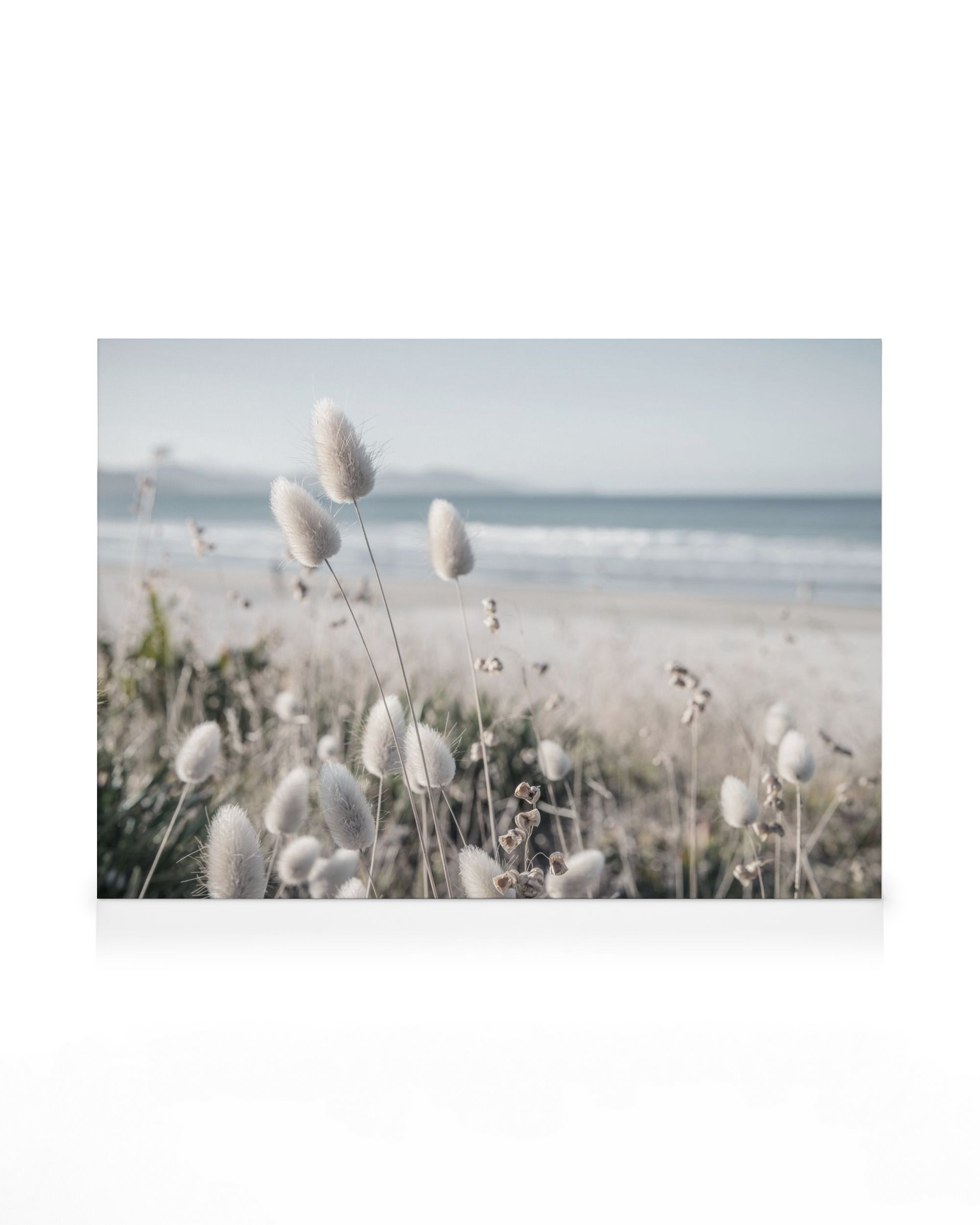 Beach Dune Grass L rred Naturmotiv P Canvas Desenio beach-dune-grass-l-rred-naturmotiv-p-canvas-desenio