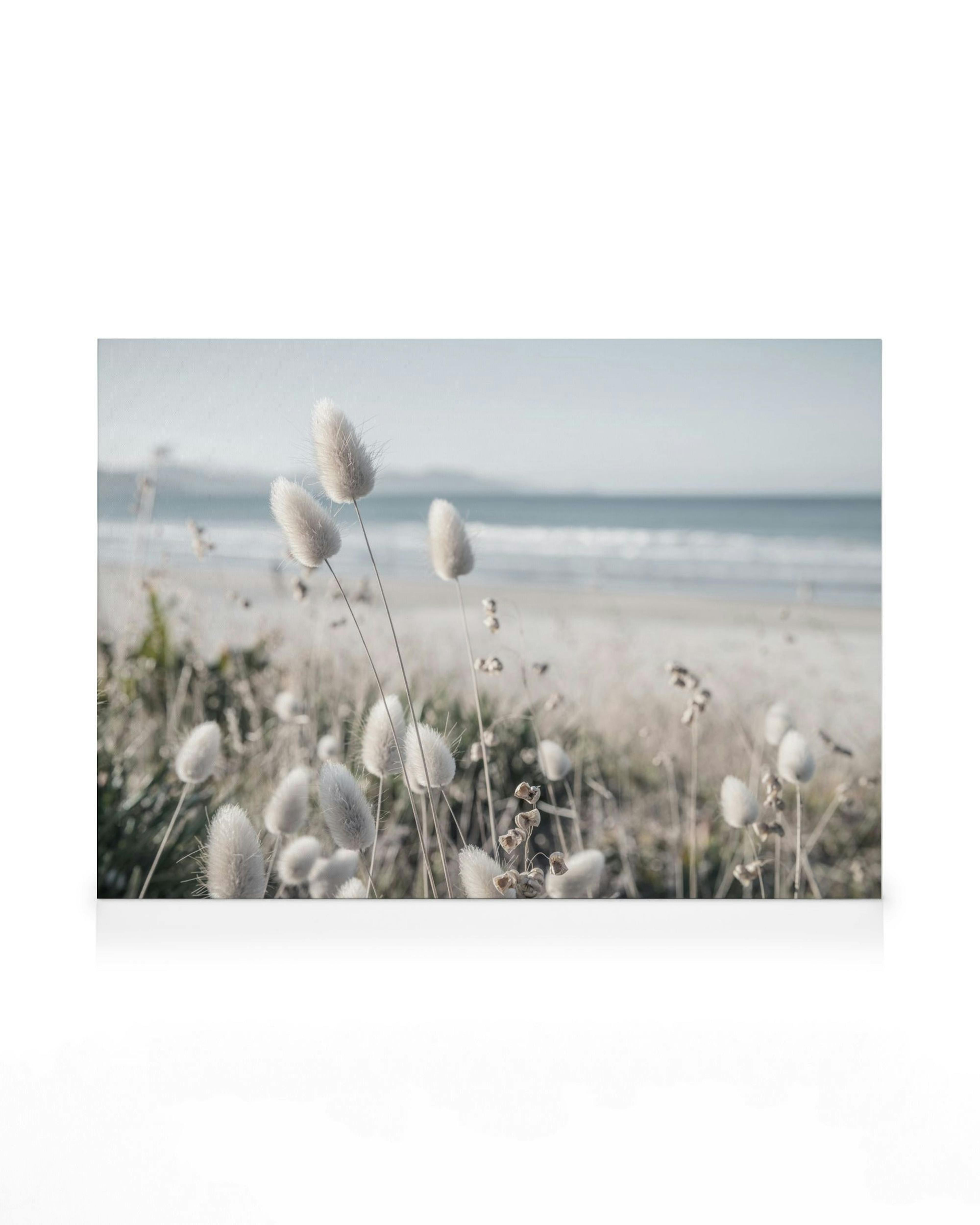 Leinwand mit flauschigem Dünengras im Vordergrund, dahinter ein ruhiger Sandstrand und das Meer unter hellem Himmel.