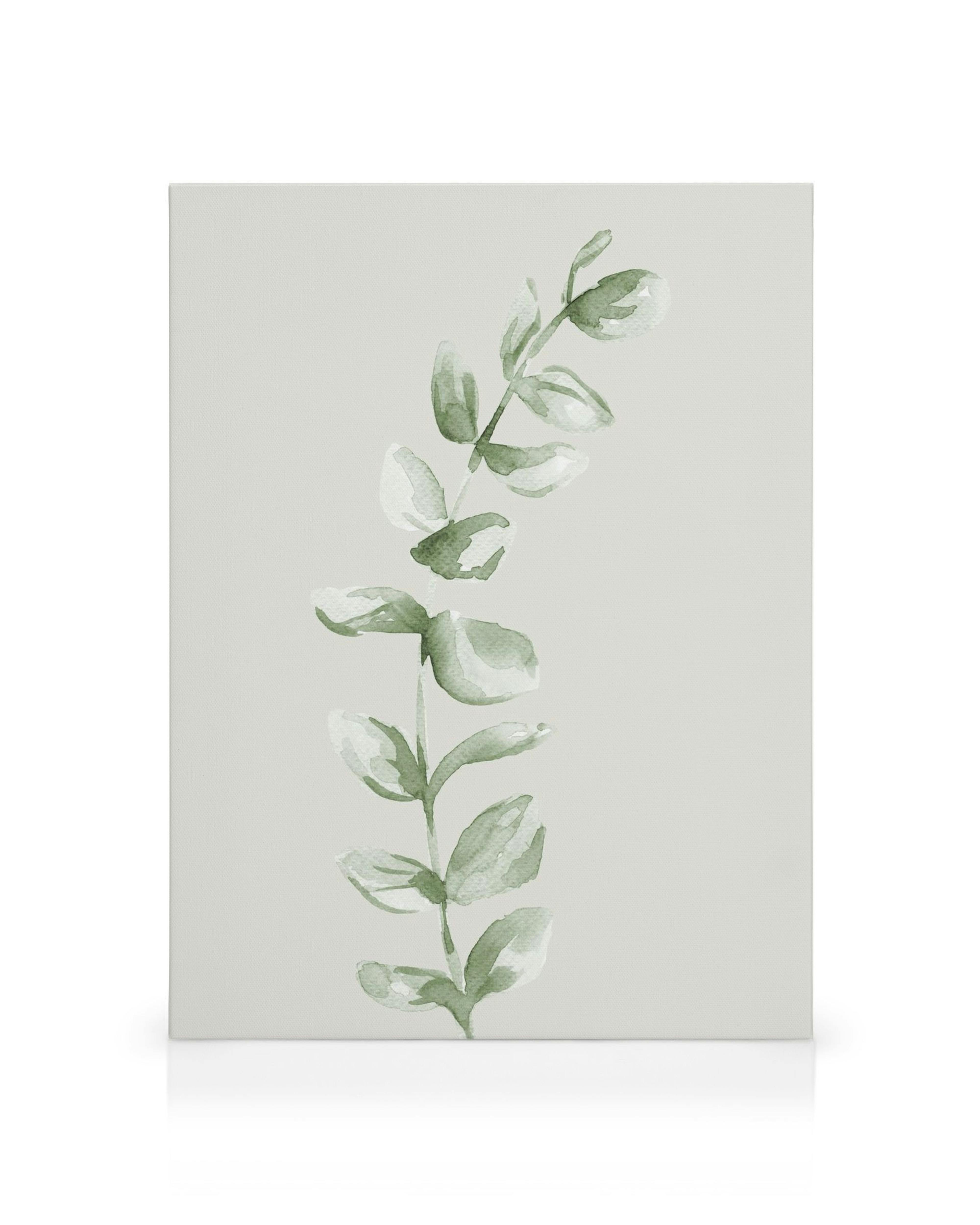 Canvas met aquarelplant, groene bladeren op witte achtergrond, eenvoudig elegant ontwerp.