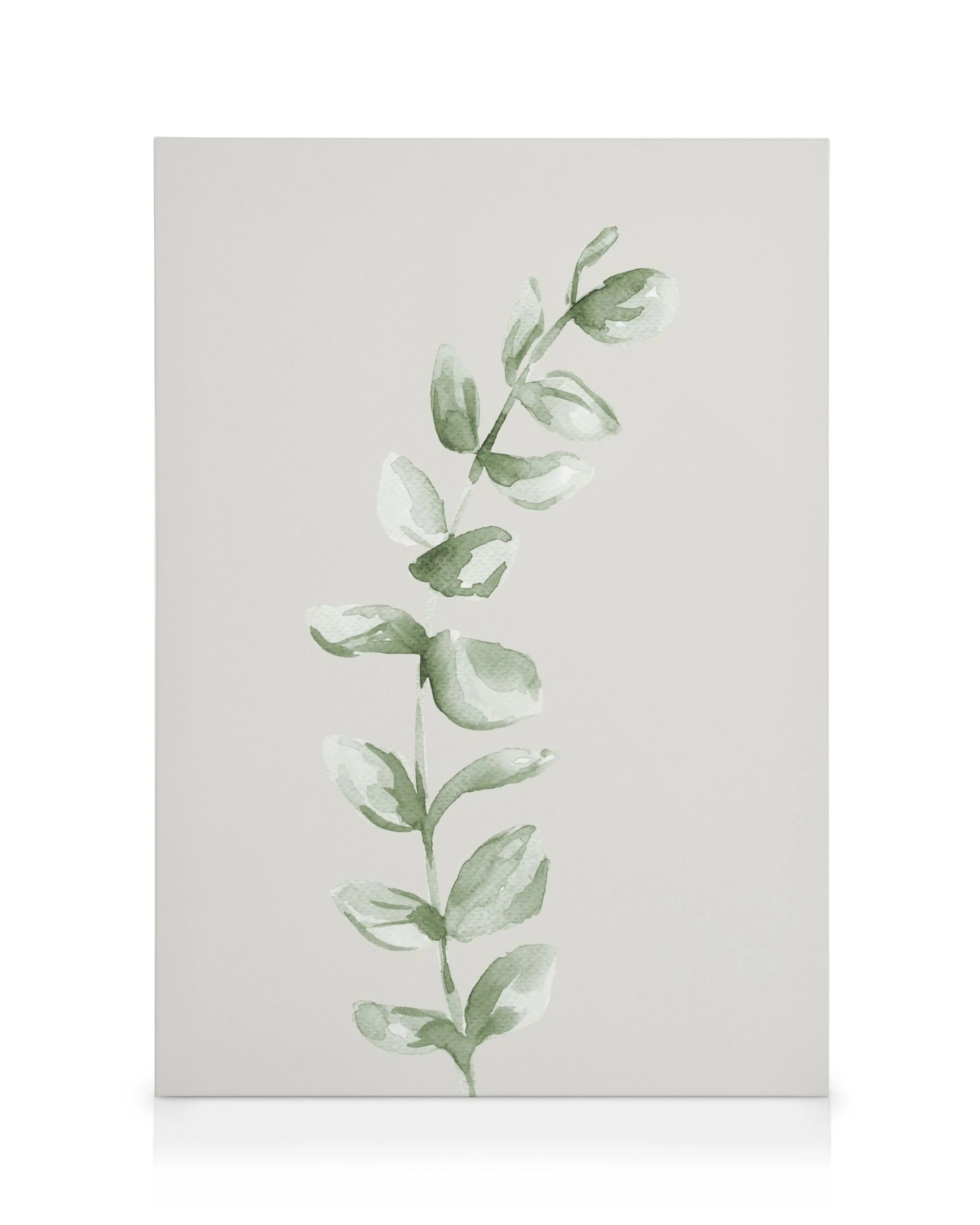 Canvas met aquarelplant, groene bladeren op witte achtergrond, eenvoudig elegant ontwerp.