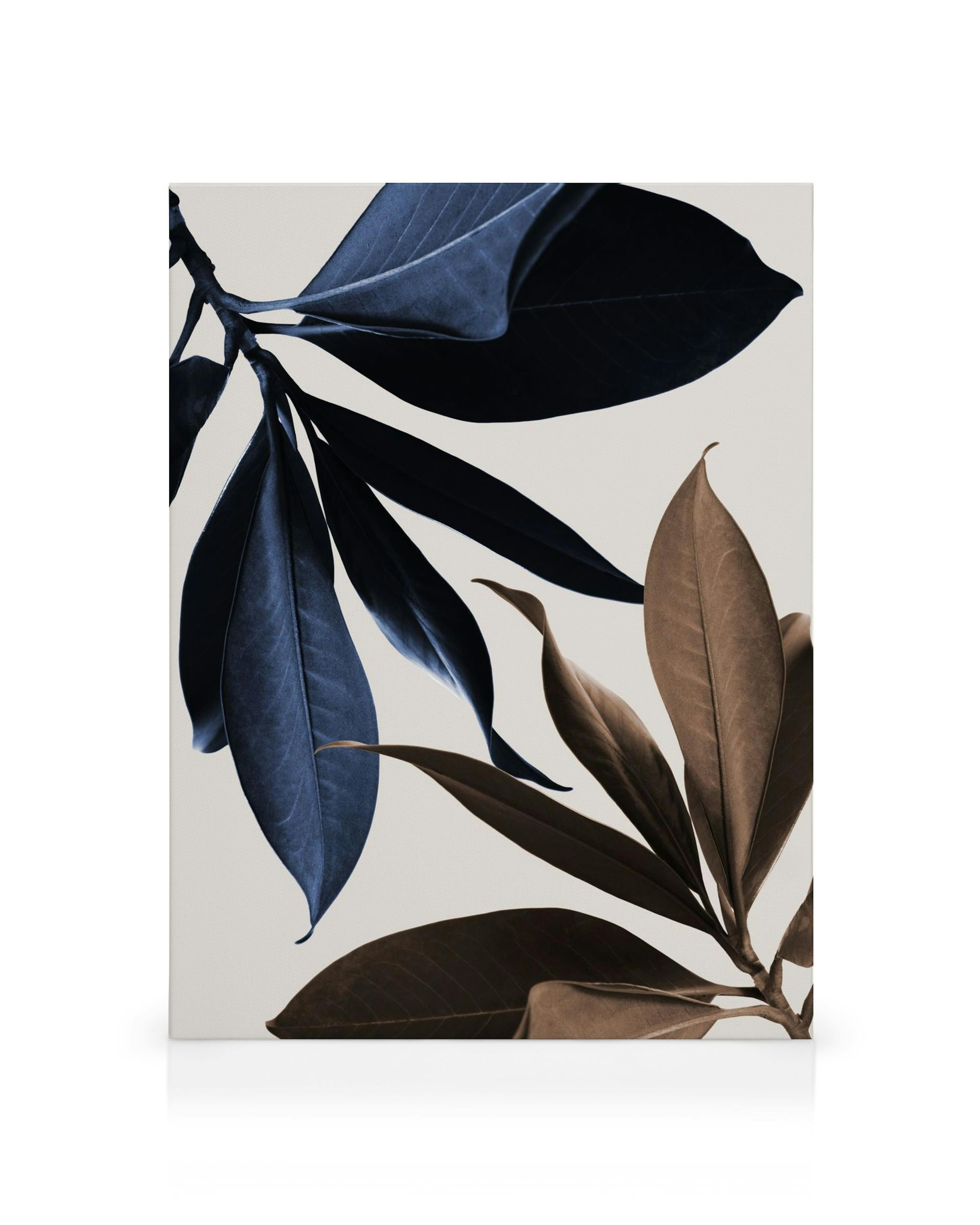 Obraz na plátne Modrá Magnolia č. 1: tmavomodré a hnedé listy magnólie na svetlom pozadí