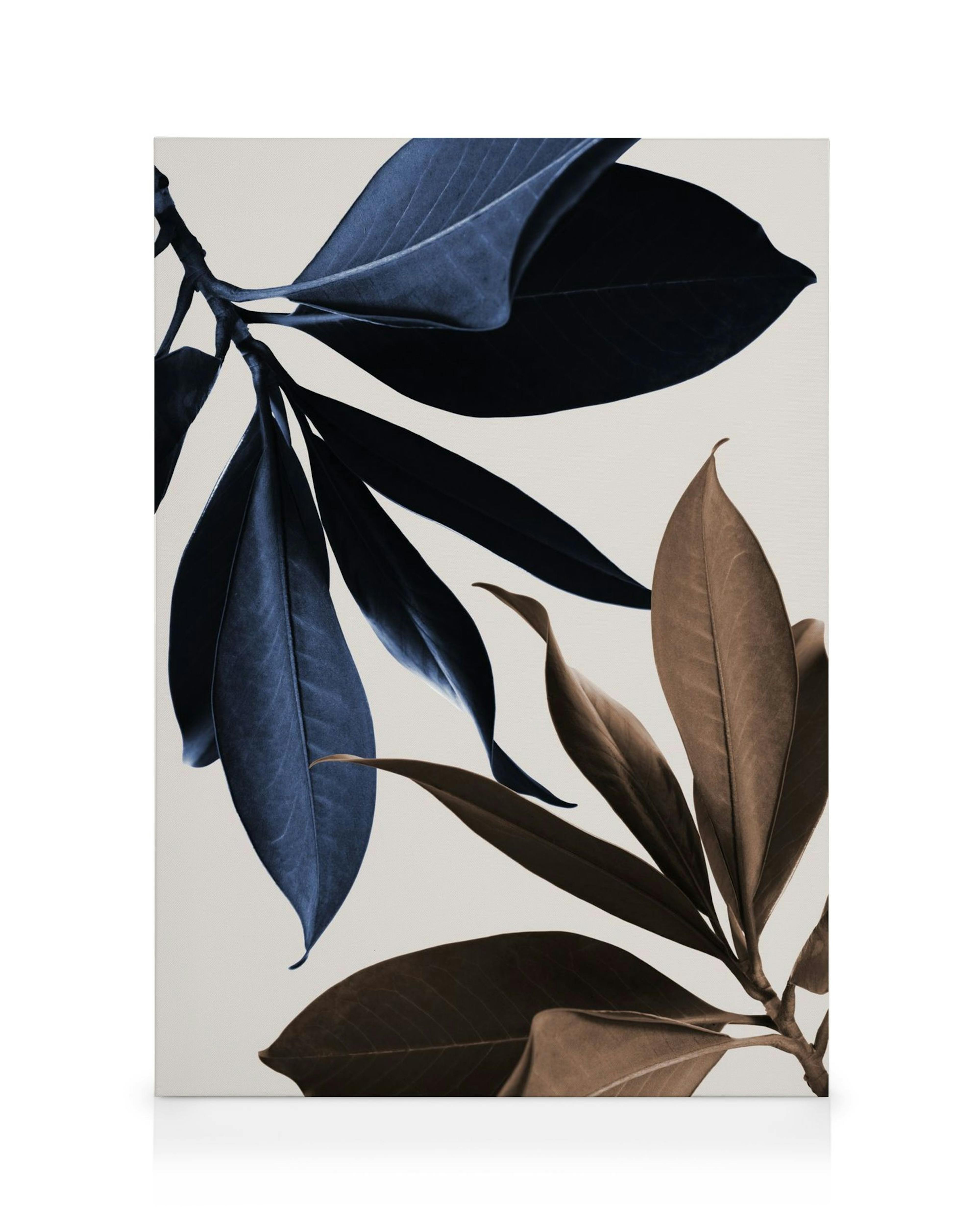 Lærred med blå og brune magnoliablade på en lys baggrund, et elegant botanisk motiv.
