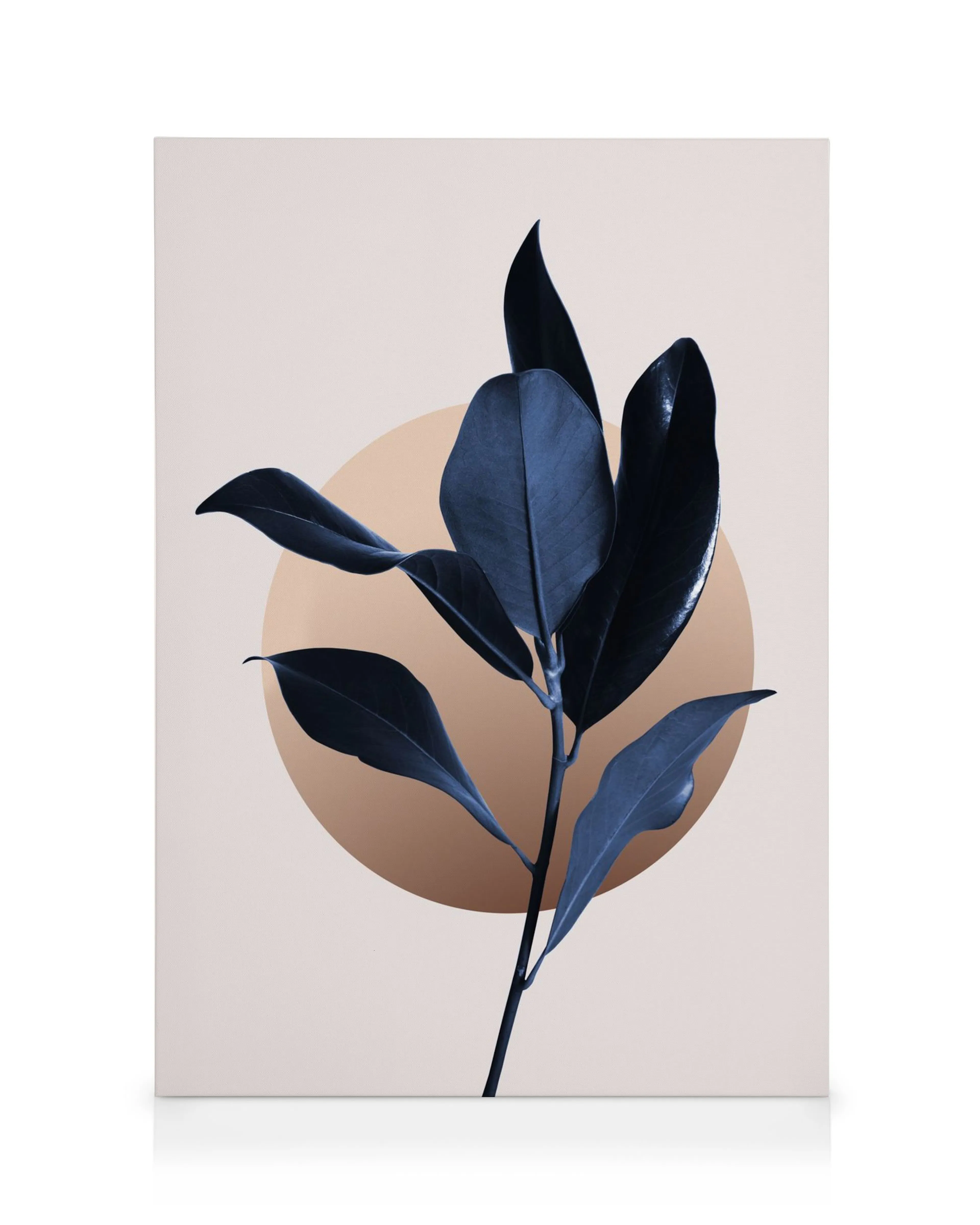 Blue Magnolia No2 canvas print featuring dark blue magnolia leaves against a beige background with a brown circle.