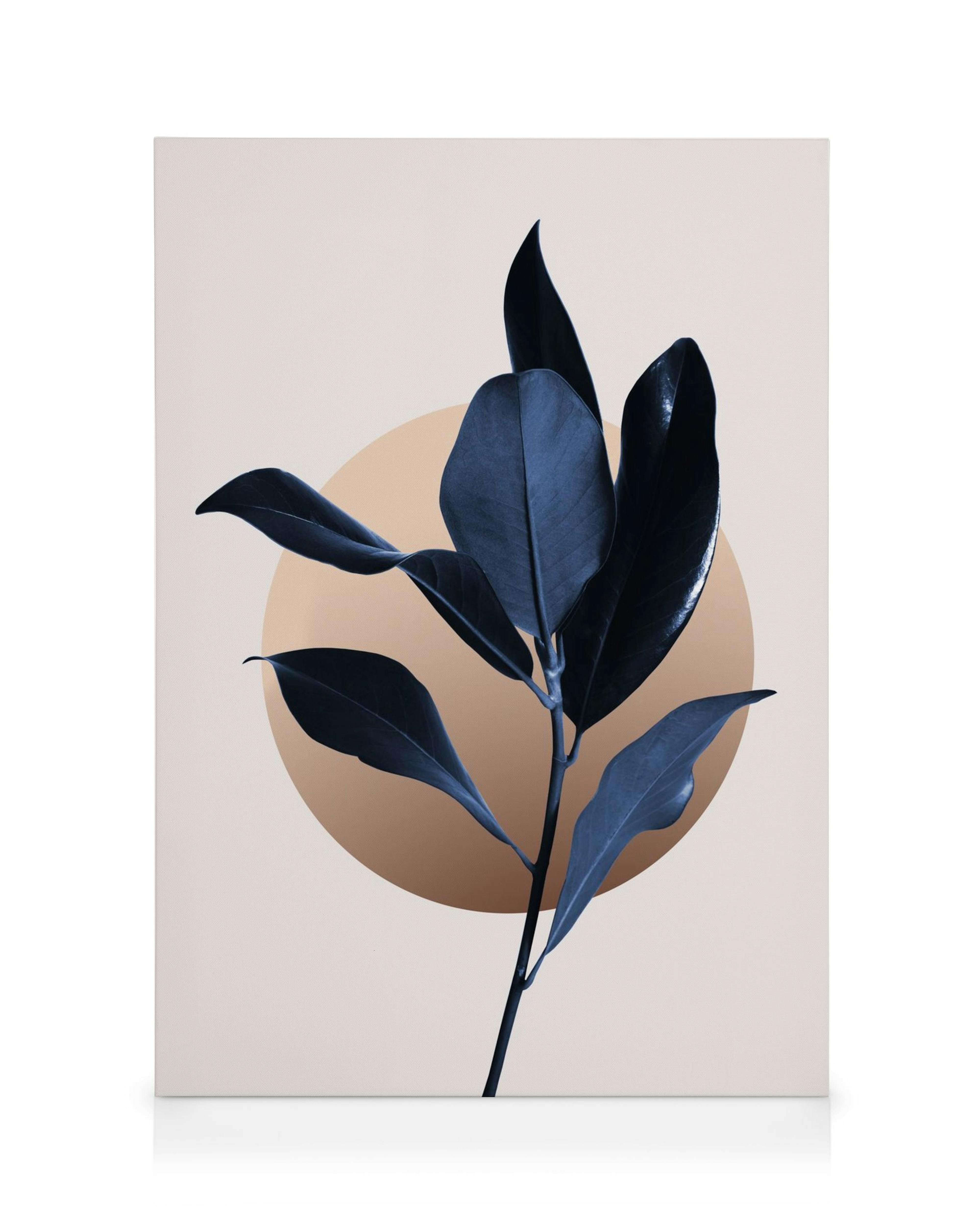 Sininen magnolia kanvaasi, jossa on yksityiskohtainen kuva magnoliapuun oksasta tummansinisillä lehdillä vaaleanruskeaa taustaa 