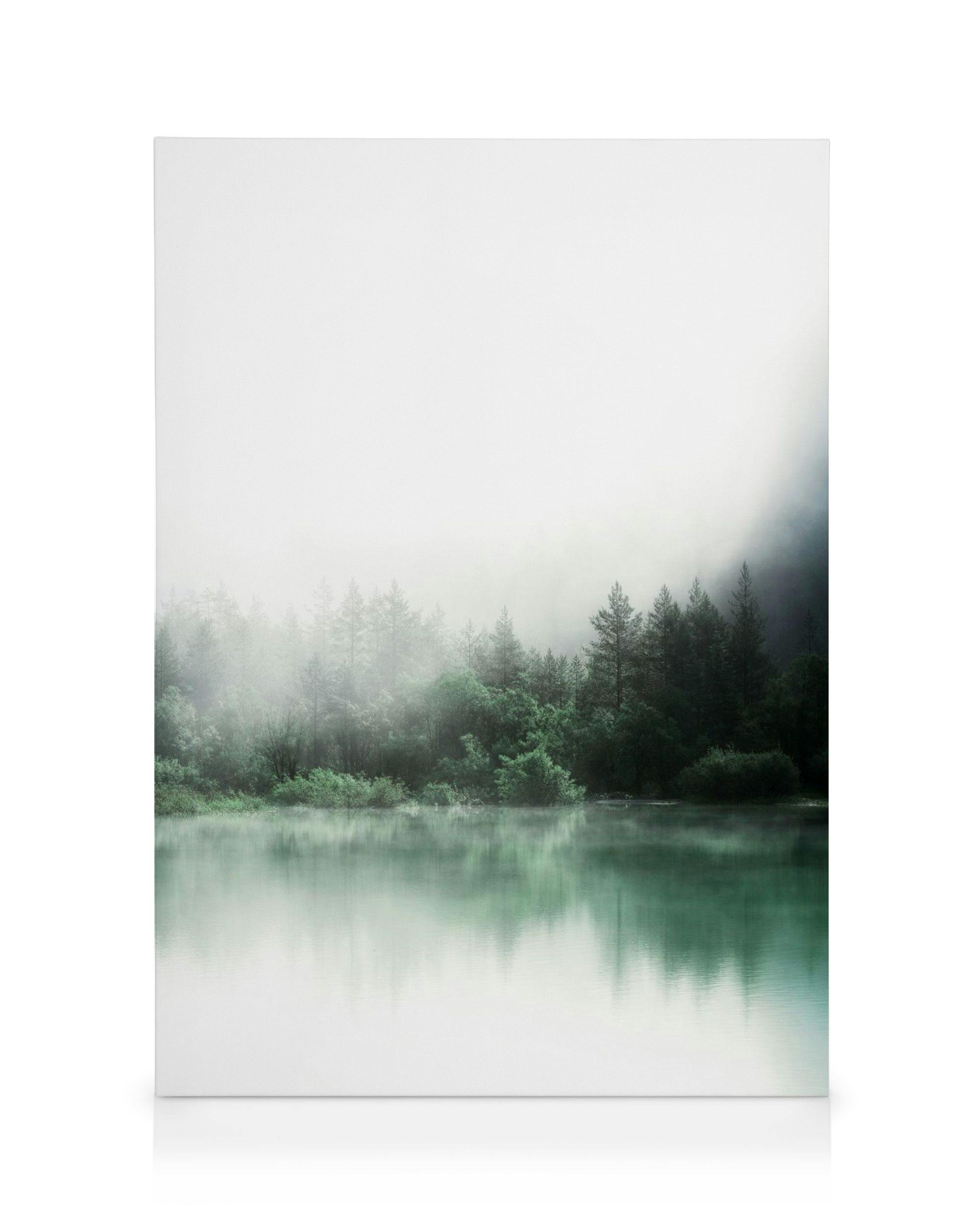Canvas Prints Forest Reflections Canvas print (30x40 cm - Dark Oak Frame)