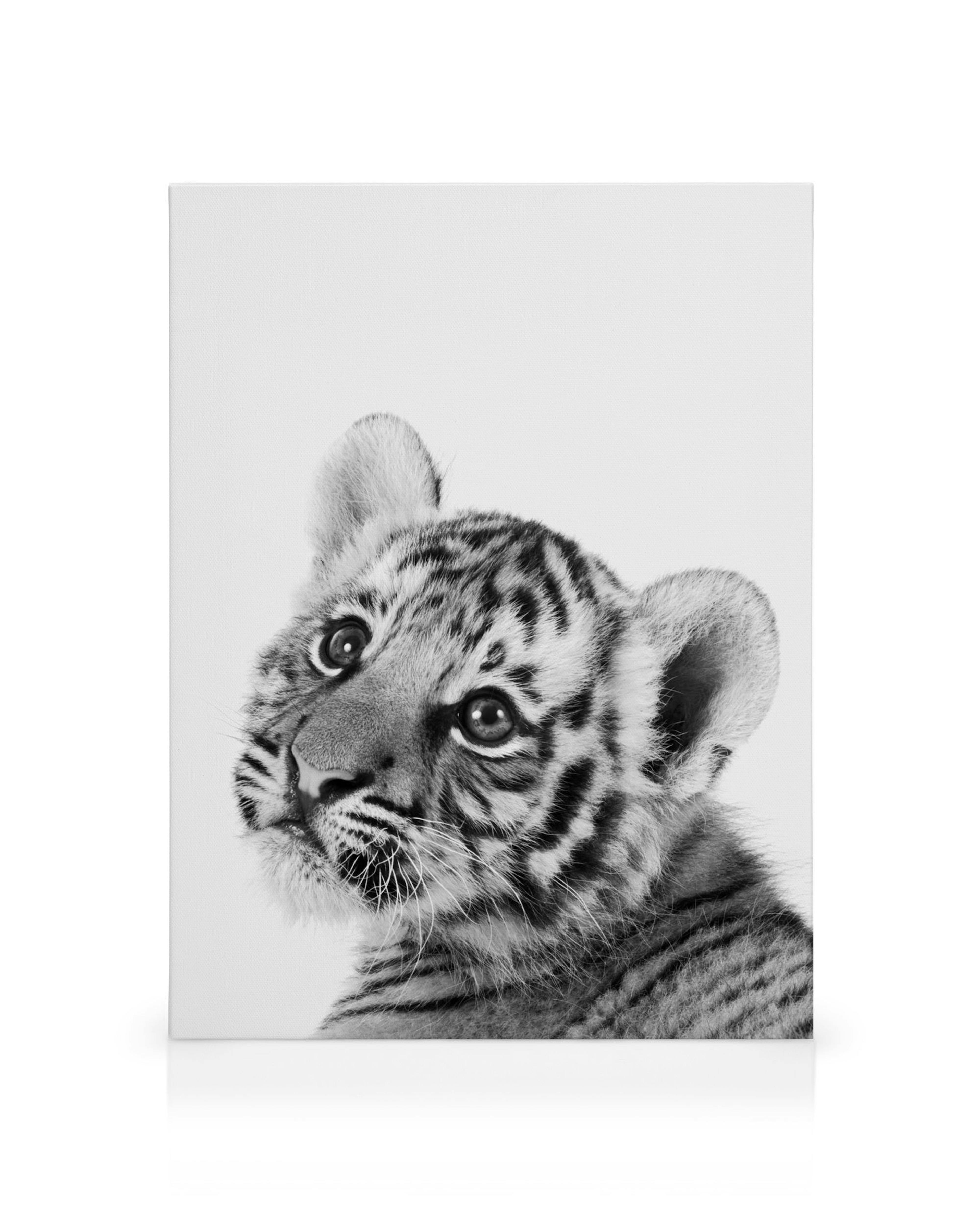 Czarno-biały obraz na płótnie z uroczym tygryskiem o dużych oczach, pręgach i wąsach do pokoju dziecięcego.