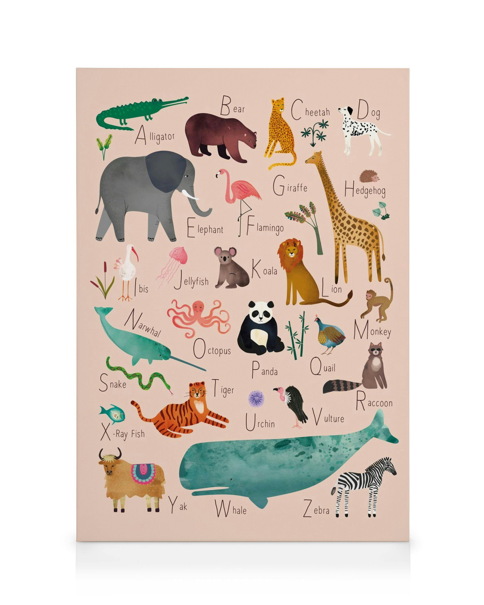 Toile Alphabet Animaux, typographie enfantine, illustrations danimaux colorées sur fond rose clair