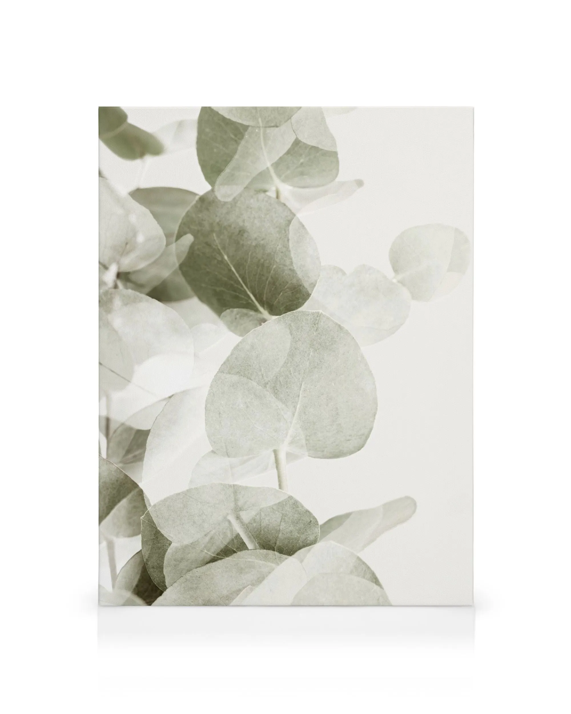 Abstract Eucalyptus No1 Leinwandbild – Abstrakte Eukalyptus-Kunst auf Leinwand