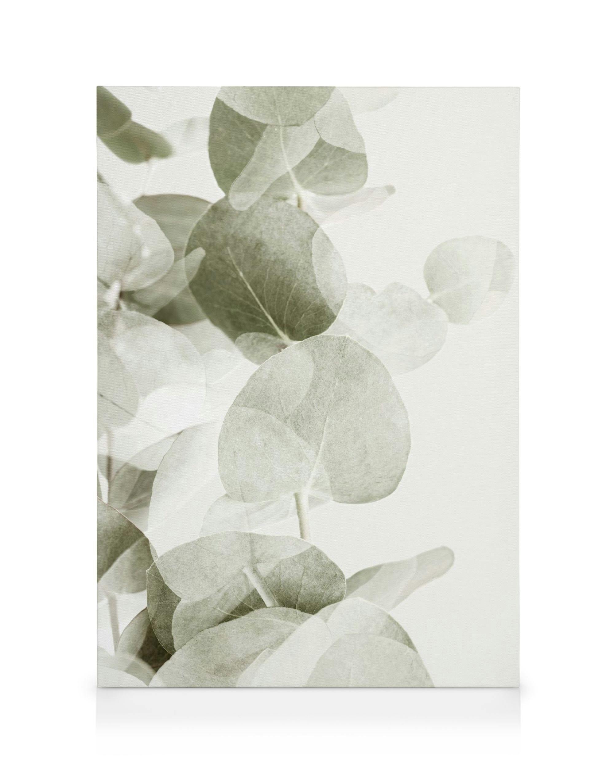 Canvas Prints Abstract Eucalyptus No1 Canvas print (70x100 cm - Black Frame)