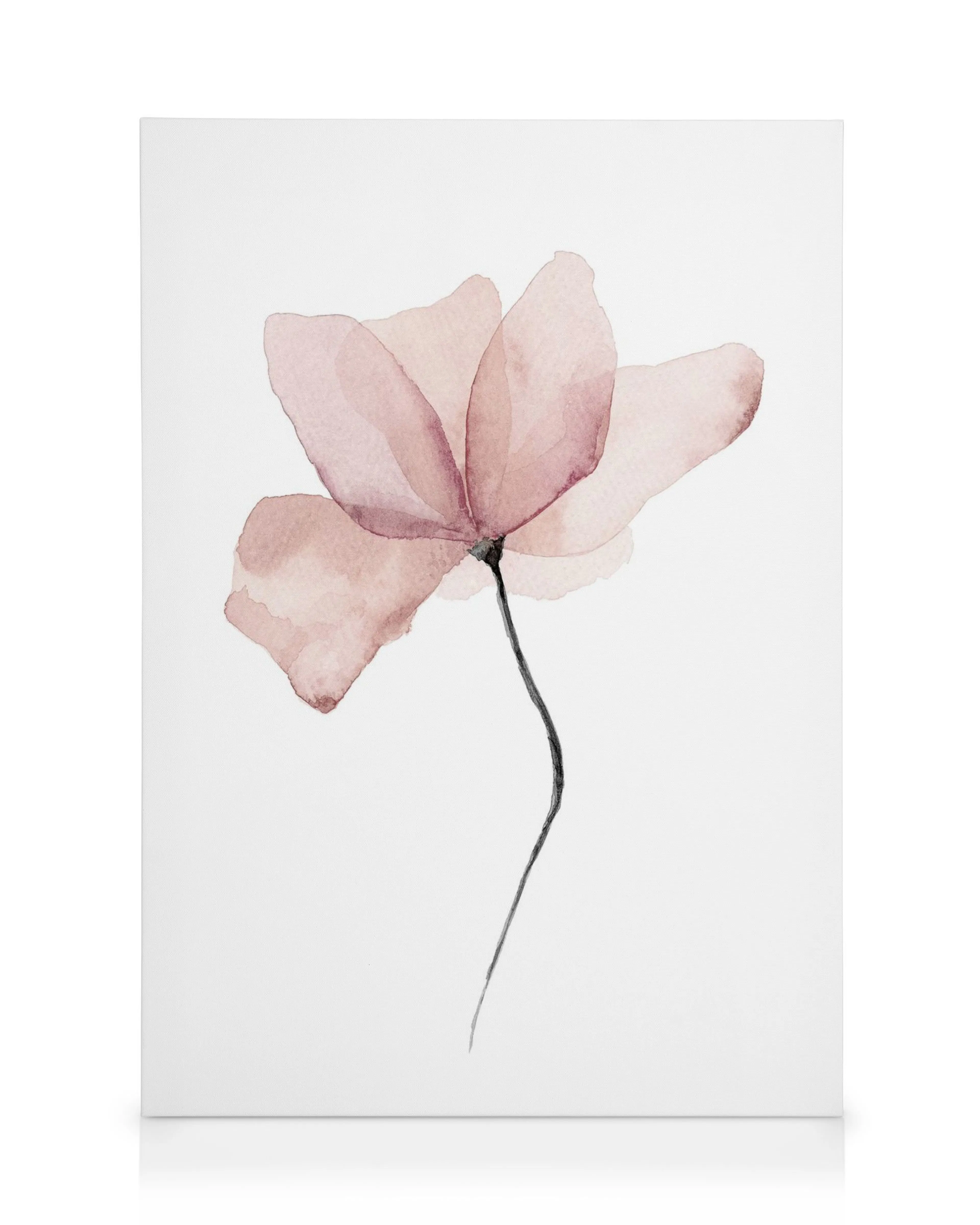 Stampa su tela con fiore rosa acquerello, petali trasparenti e stelo nero su sfondo bianco.