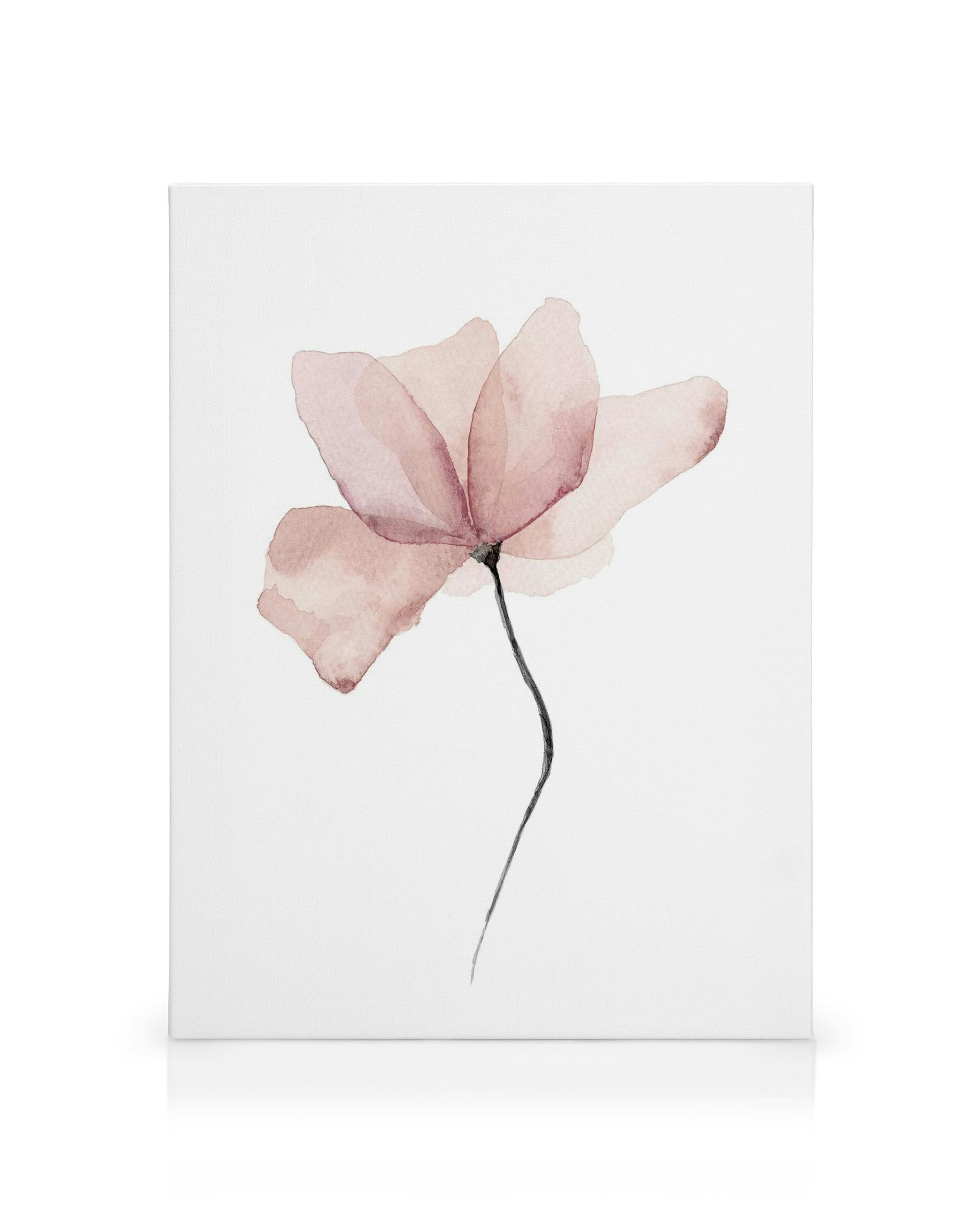 Akvarel blomst lærred, lyserød blomst med sort stilk på hvid baggrund, kunst vægdekoration.