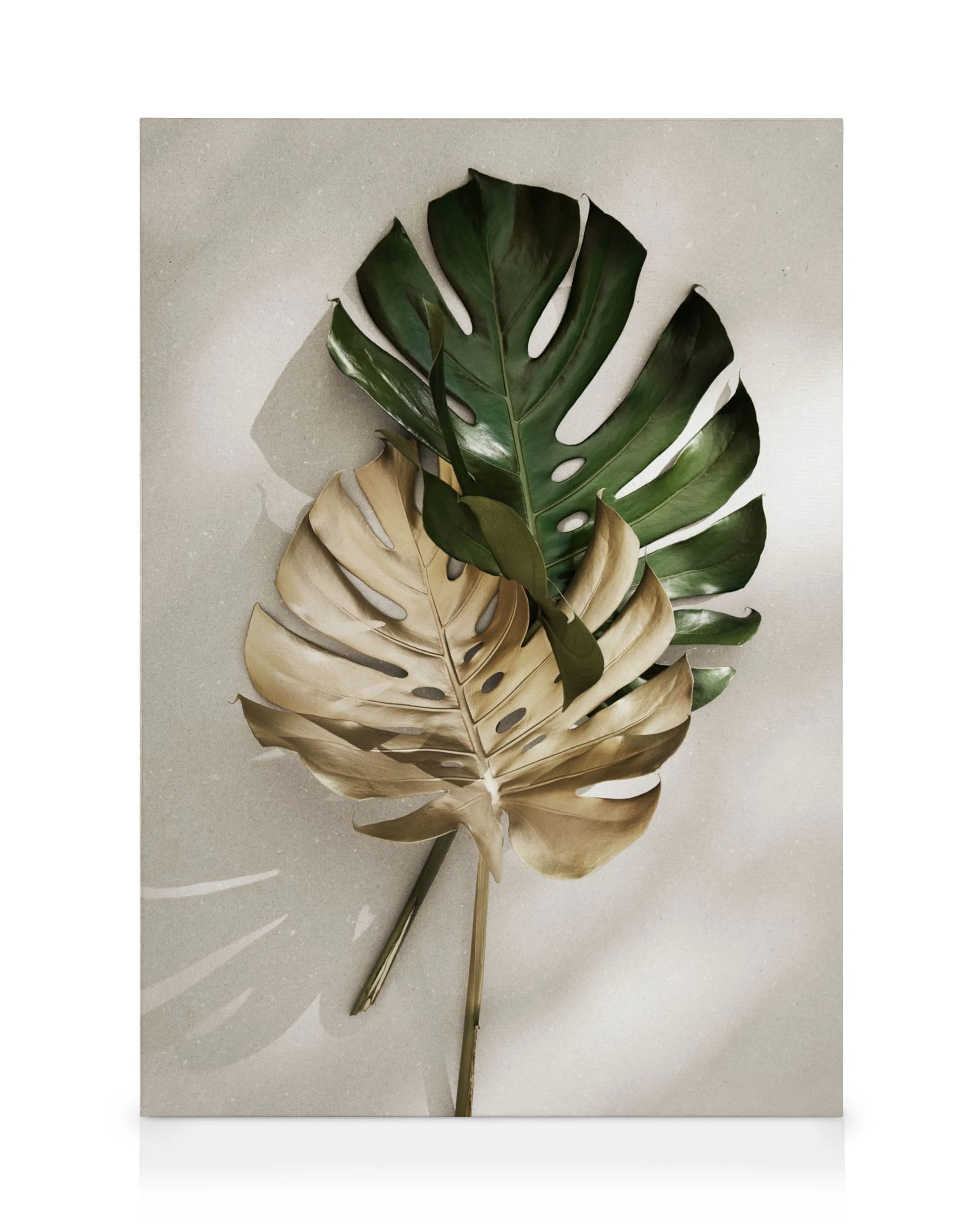 Gold and green monstera leaves on a beige background canvas print