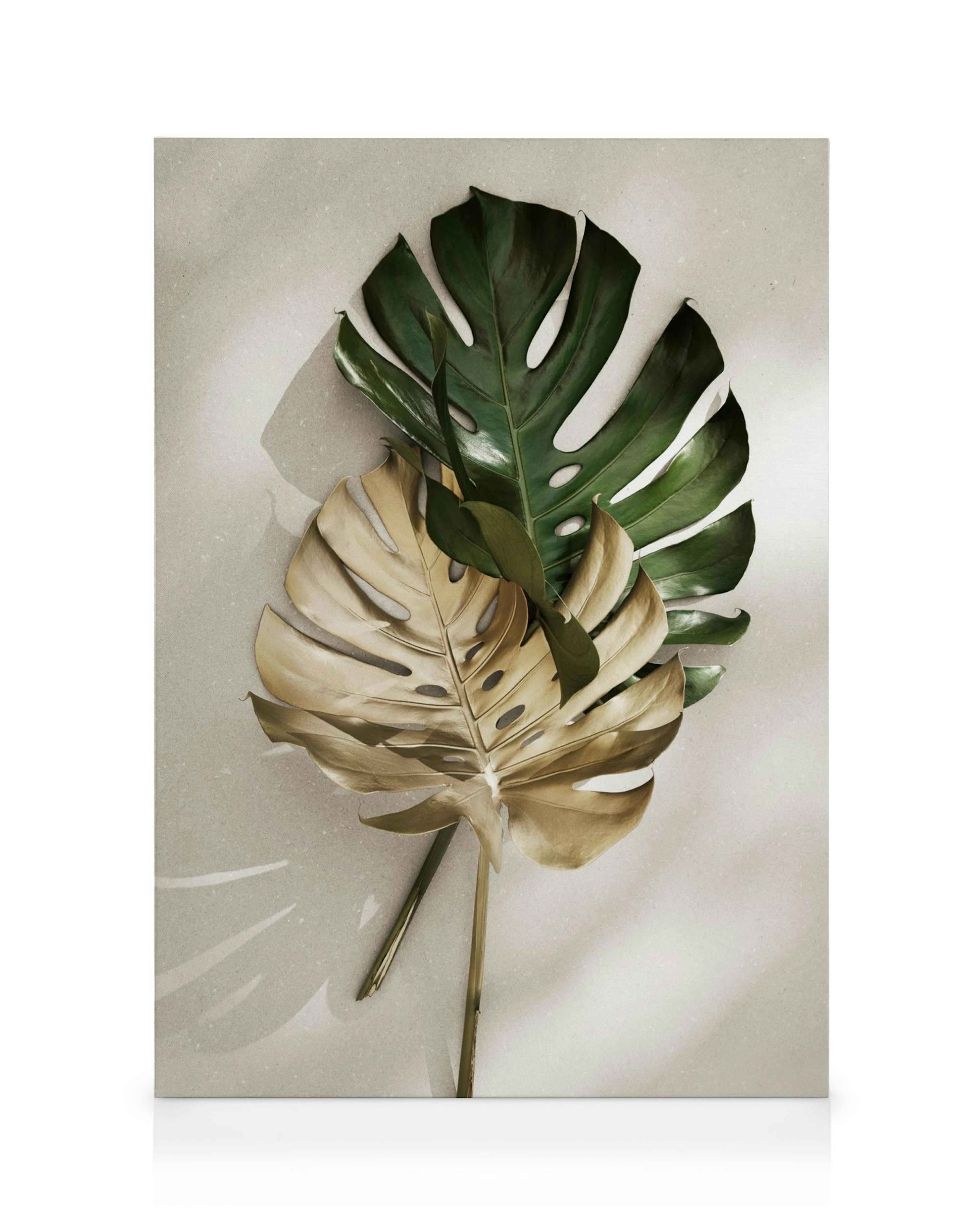 Obraz na płótnie: złoty i zielony liść monstery na beżowym tle, botaniczny wystrój wnętrz