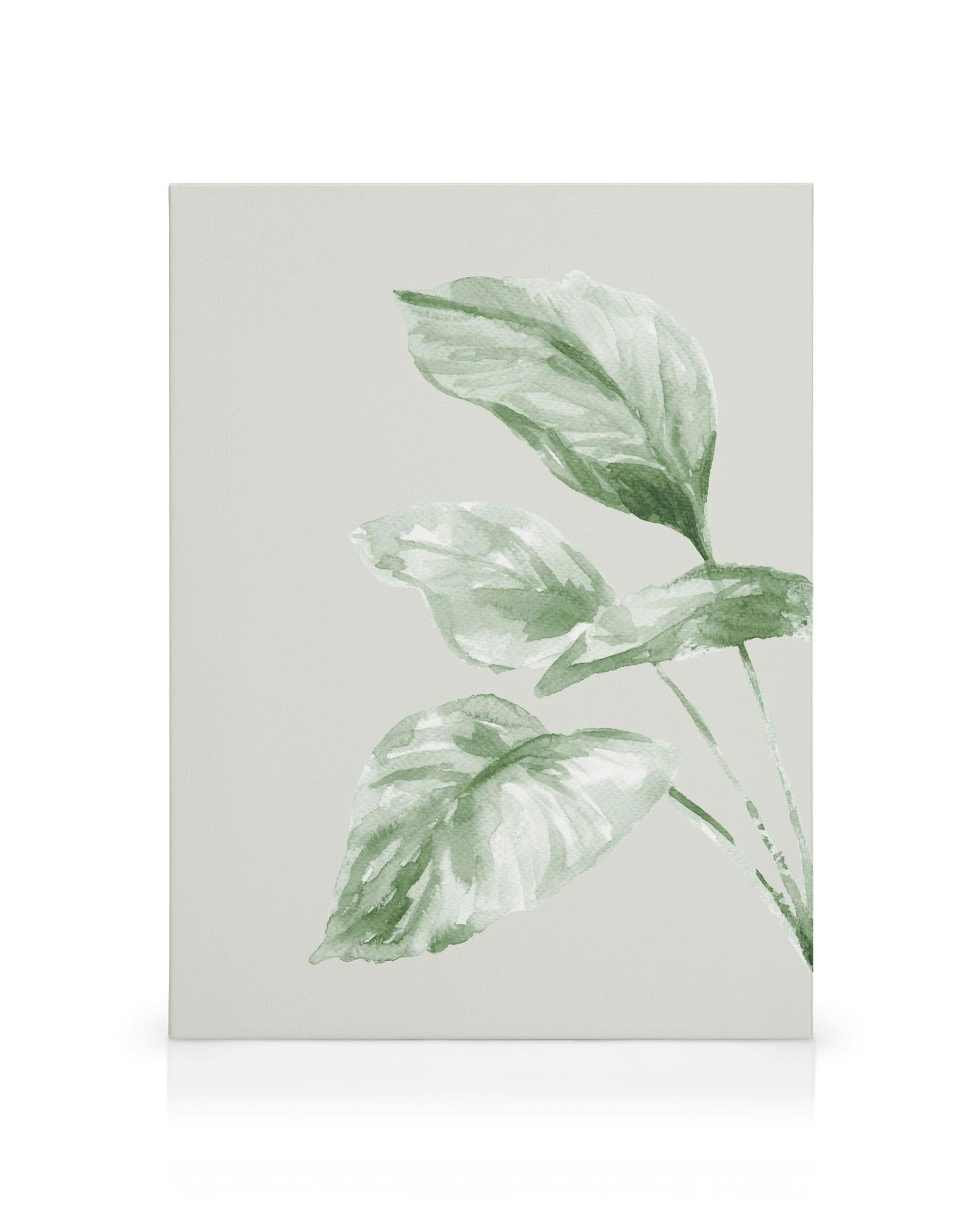 Watercolor painting of green leaves on a light background. Features varying shades of green and white highlights.