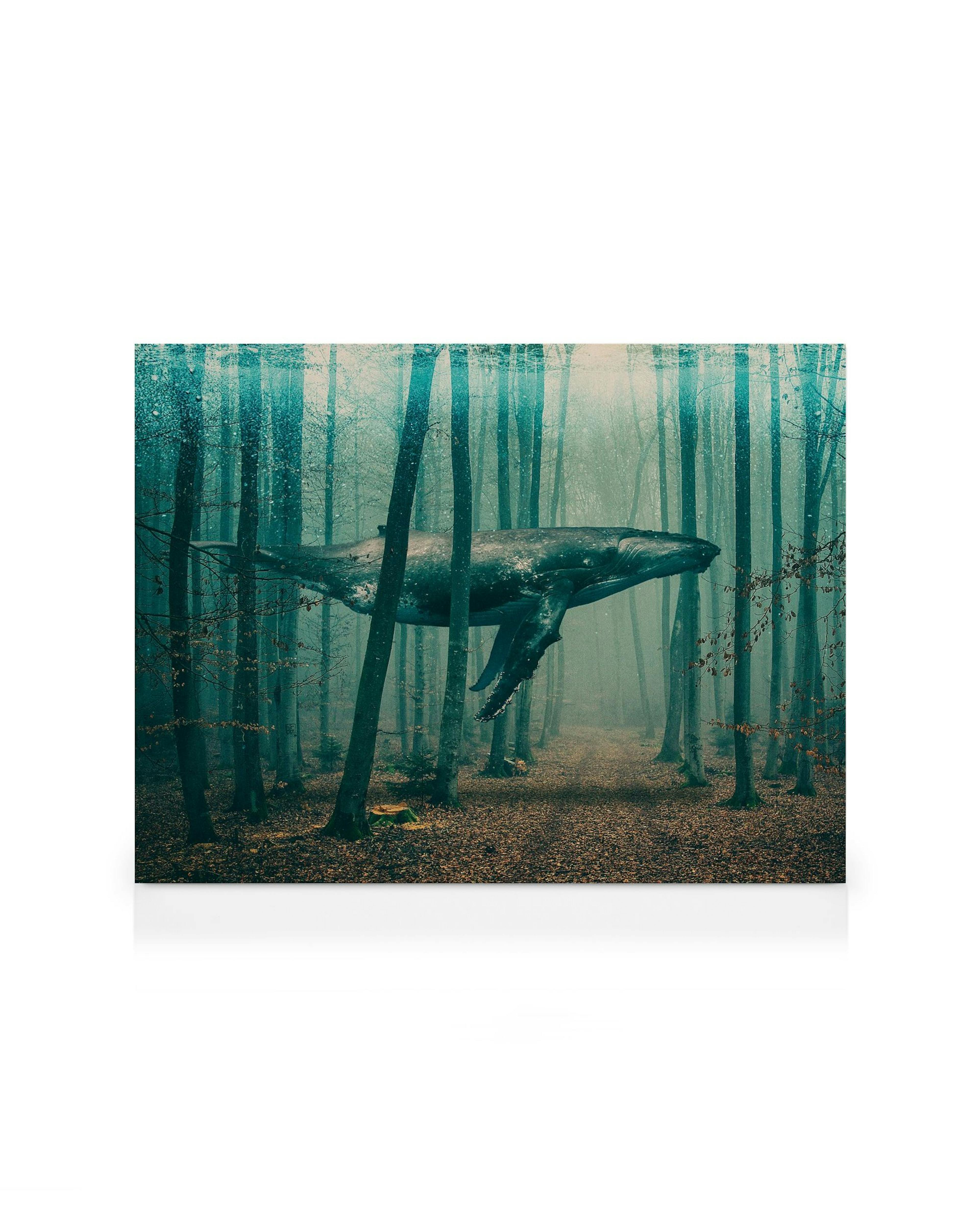 Lærred med flyvende gråhval i tåget skov, surrealistisk fantasy naturkunst.