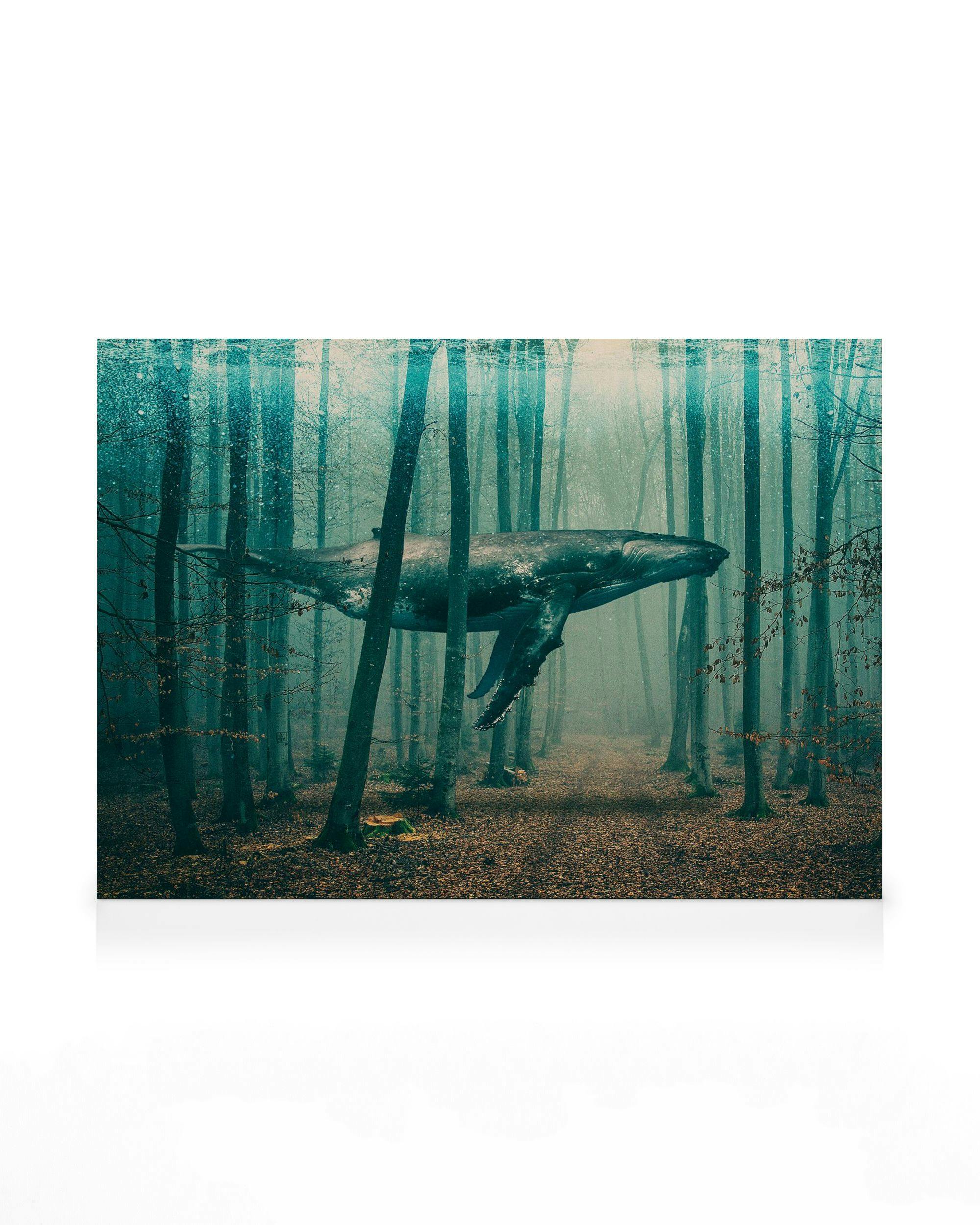 Stampa su tela surreale: balena fluttuante in una foresta nebbiosa con alberi spogli e foglie, toni blu e verdi.