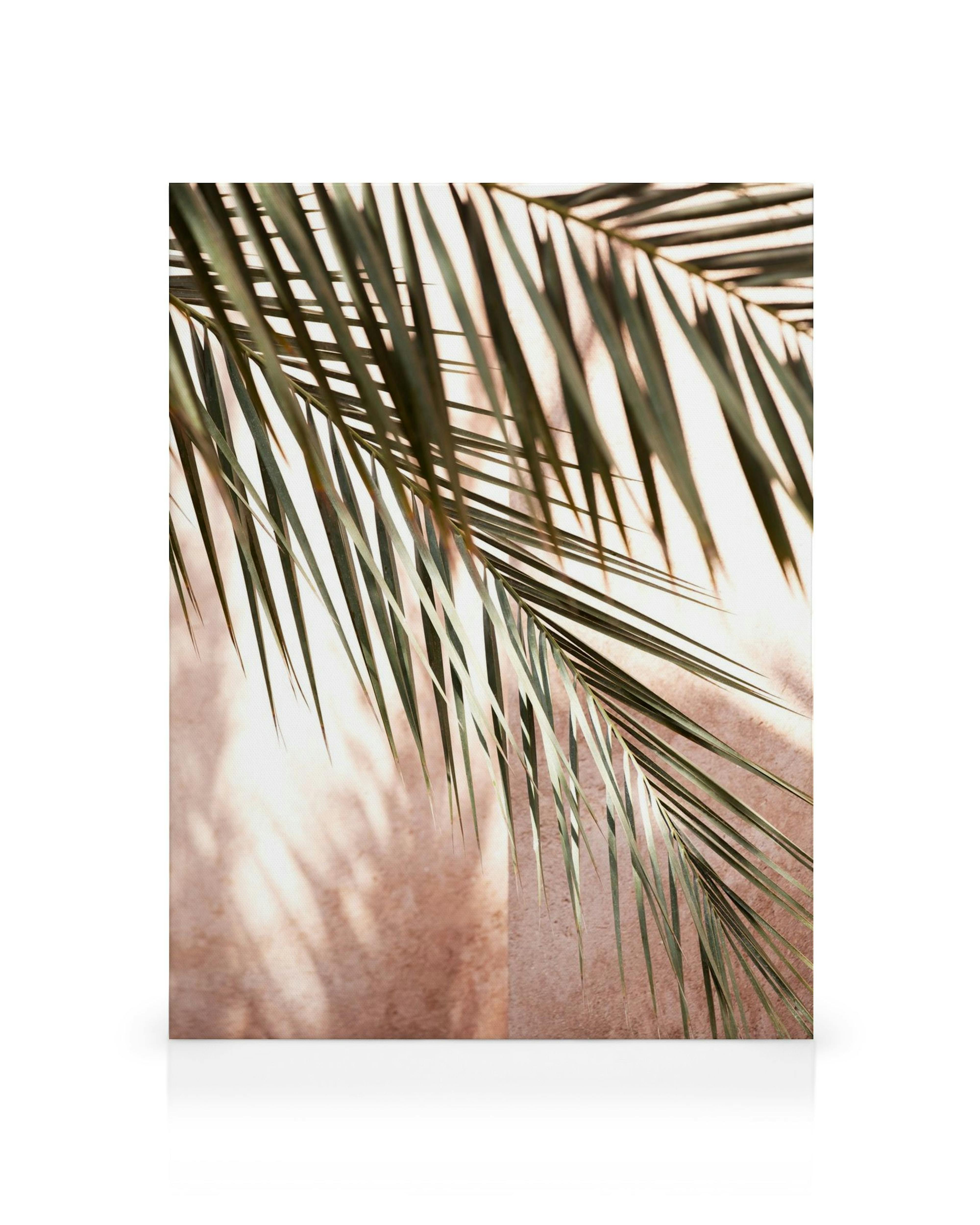 Vaaleanpunainen kanvaasi, jossa on tummanvihreitä palmunlehtiä ja niiden varjoja.