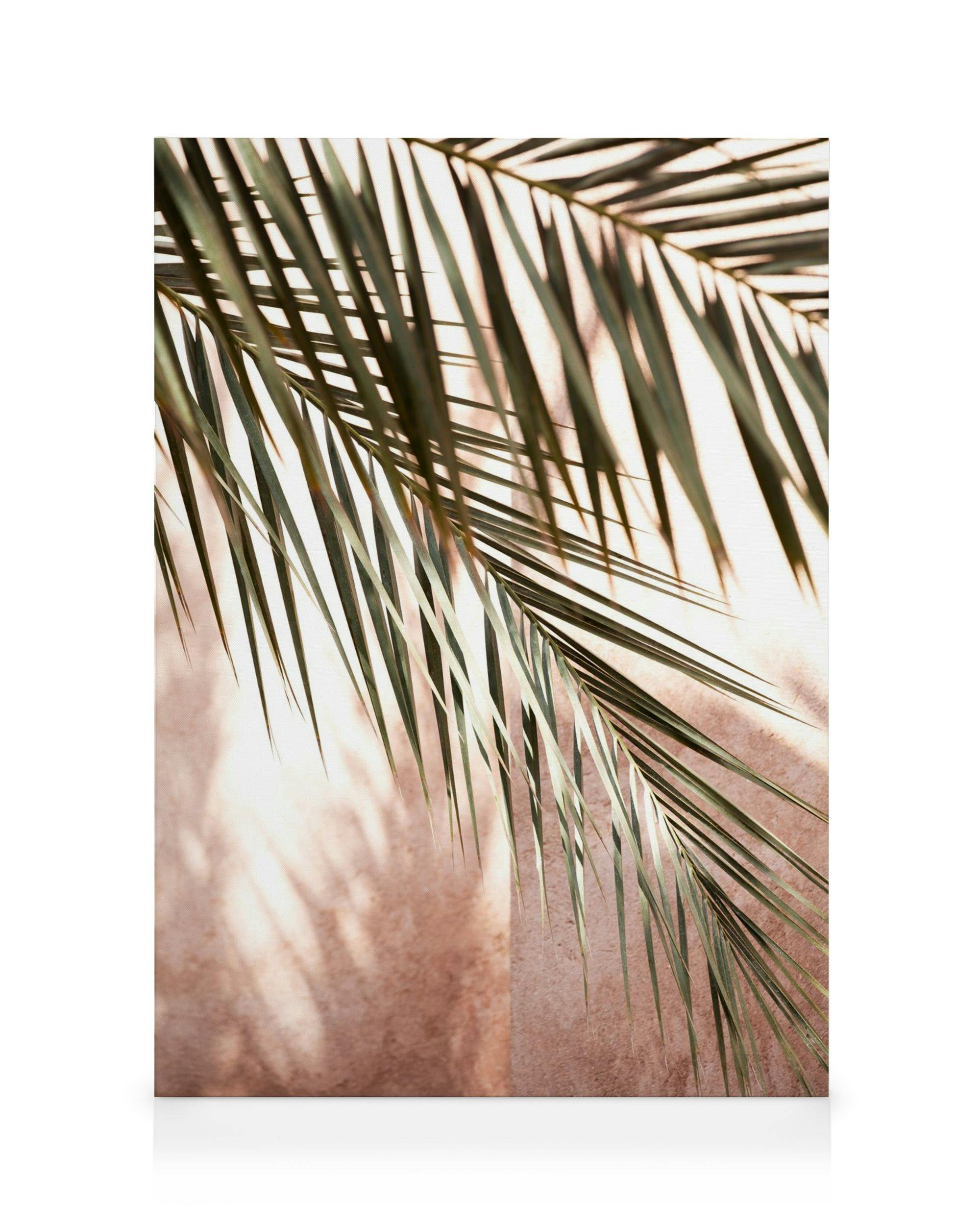 Toile Pink Shadow avec des feuilles de palmier projetant des ombres sur un fond beige texturé. Typographie botanique.