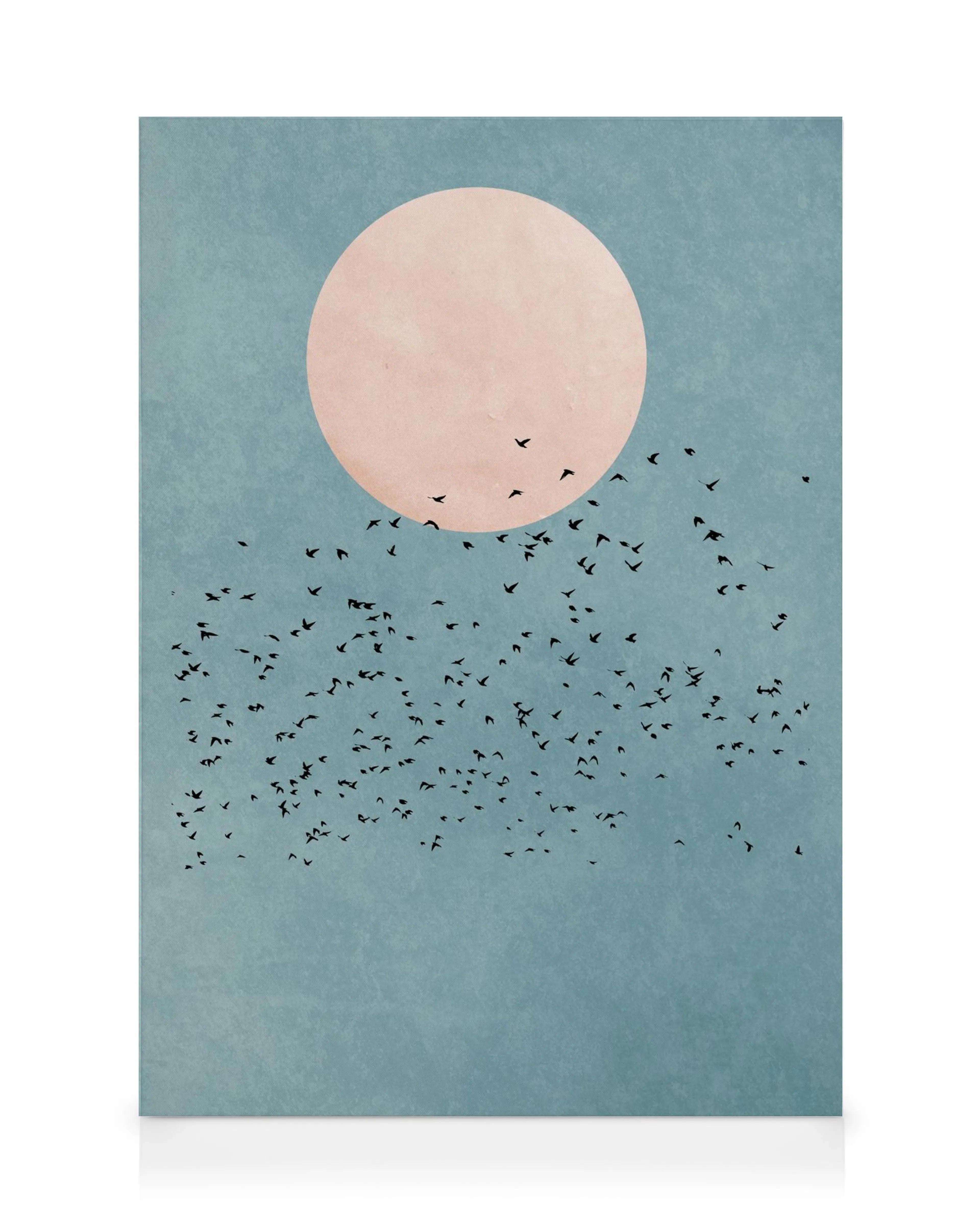 Boris Draschoff canvas print: a large pink circle resembling a sun or moon with black birds flying against a turquoise backgroun