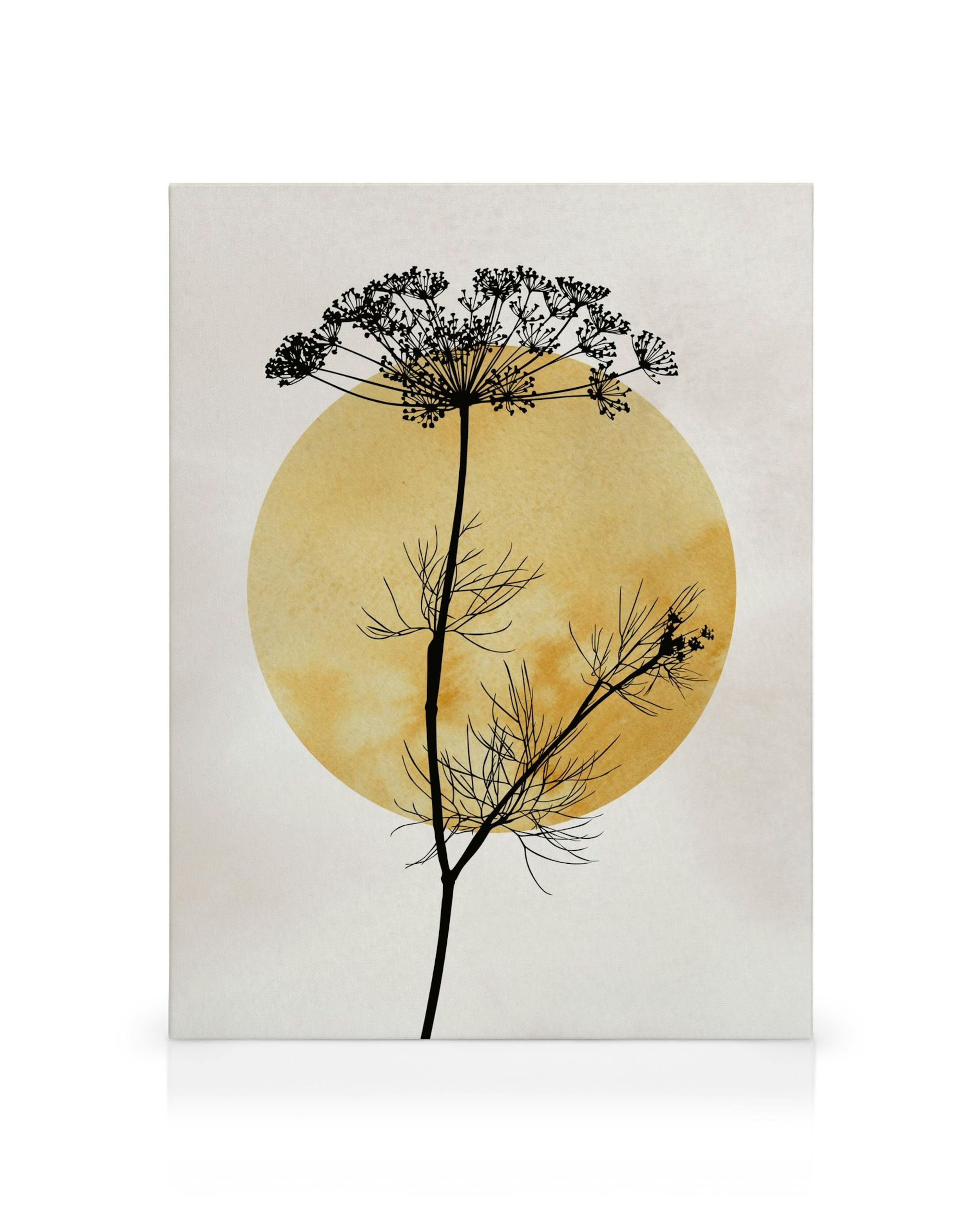 Anthriscus Silhouette Canvas print with black plant and dark yellow sun on beige background, modern wall art
