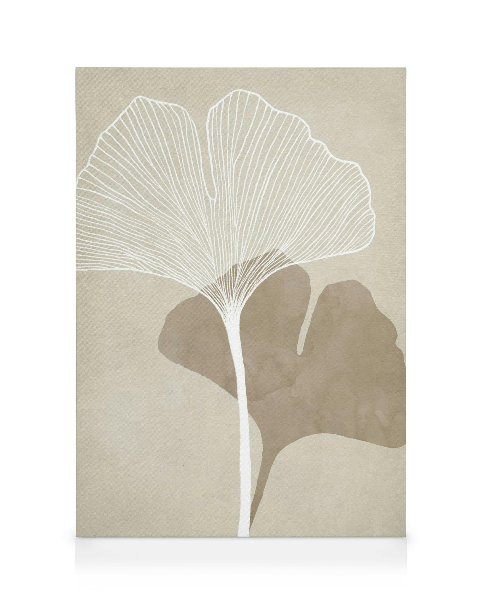 Καμβάς με διπλό φύλλο γκίνγκο, μπεζ φόντο, λευκό περίγραμμα και καφέ σκιά.