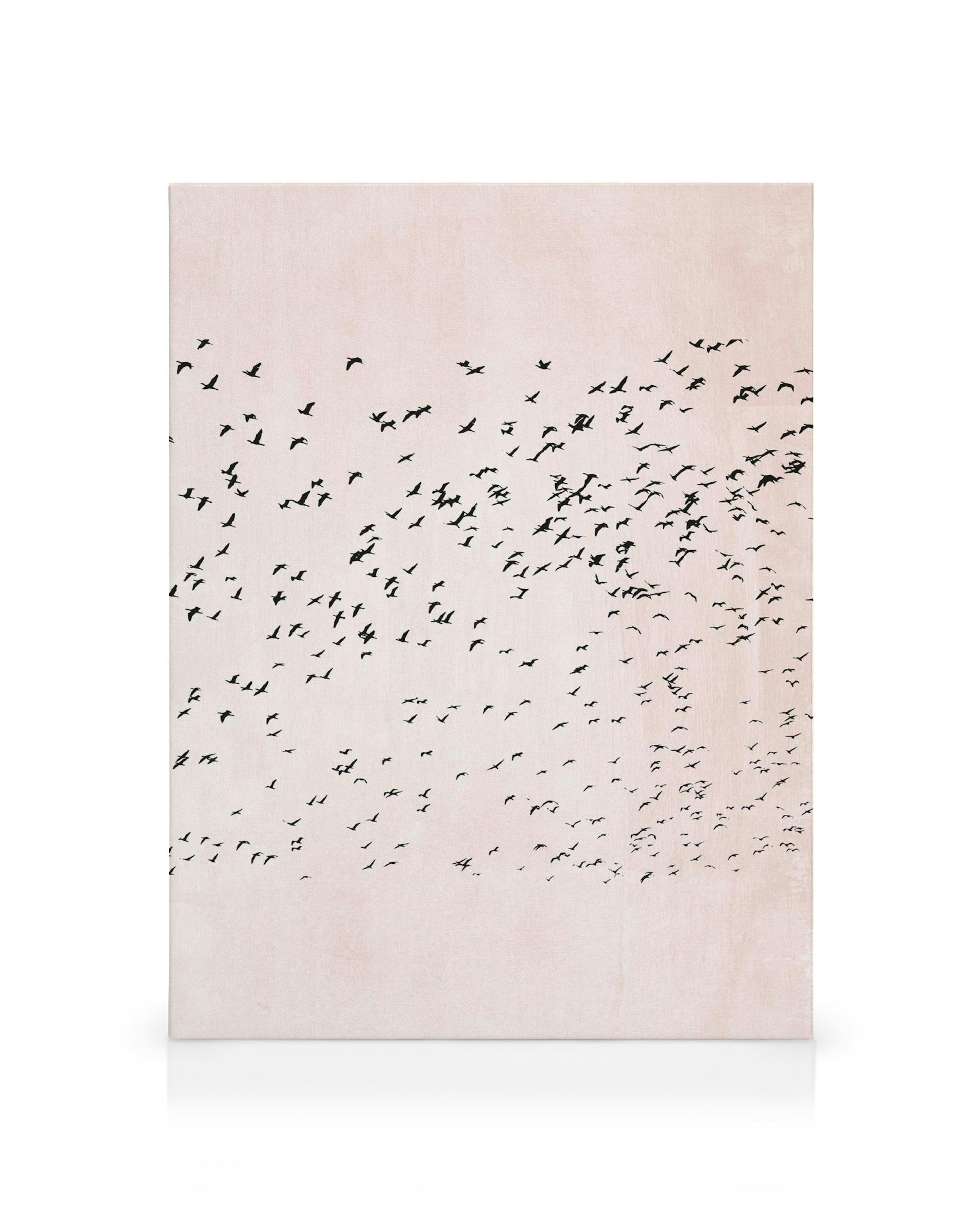 Canvastavla med ljusrosa bakgrund och svarta fågelsilhuetter som flyger i en grupp, vilket skapar en känsla av rörelse.