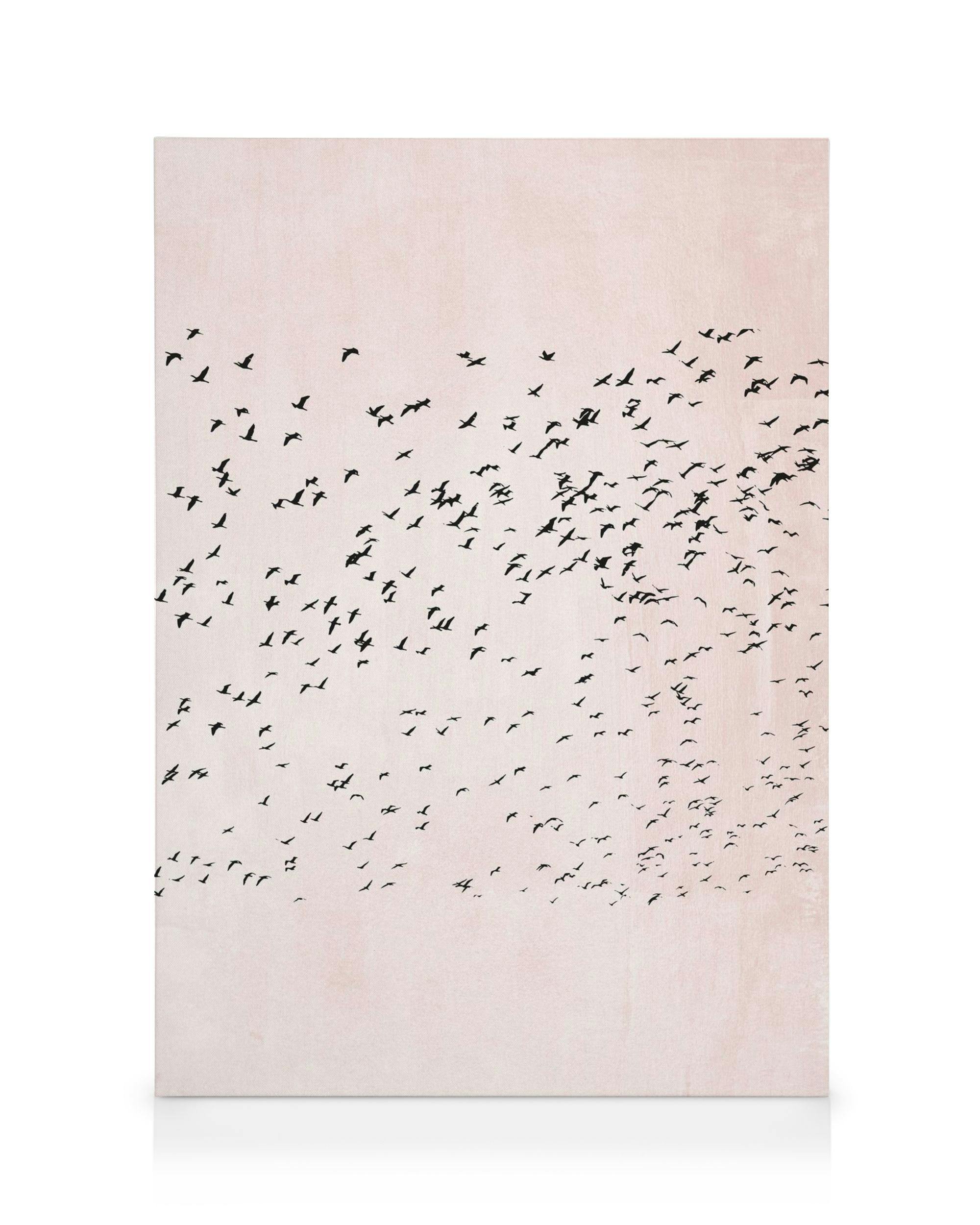 Canvas print with black bird silhouettes on a light pink background, scattered at the top, decreasing towards the bottom.
