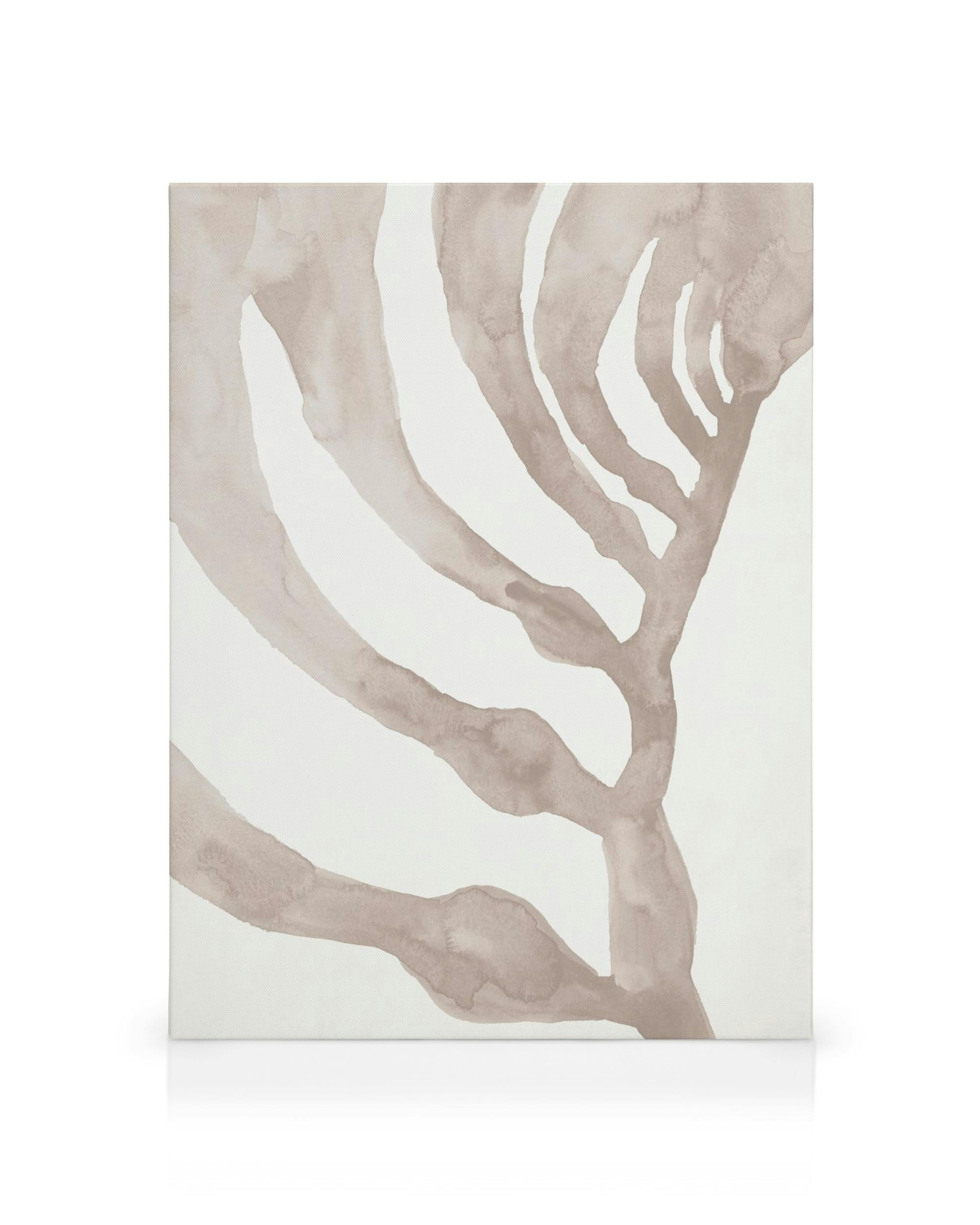 Lienzo beige con algas marinas abstractas, ramas curvas en tonos tierra, fondo blanco, arte de la naturaleza