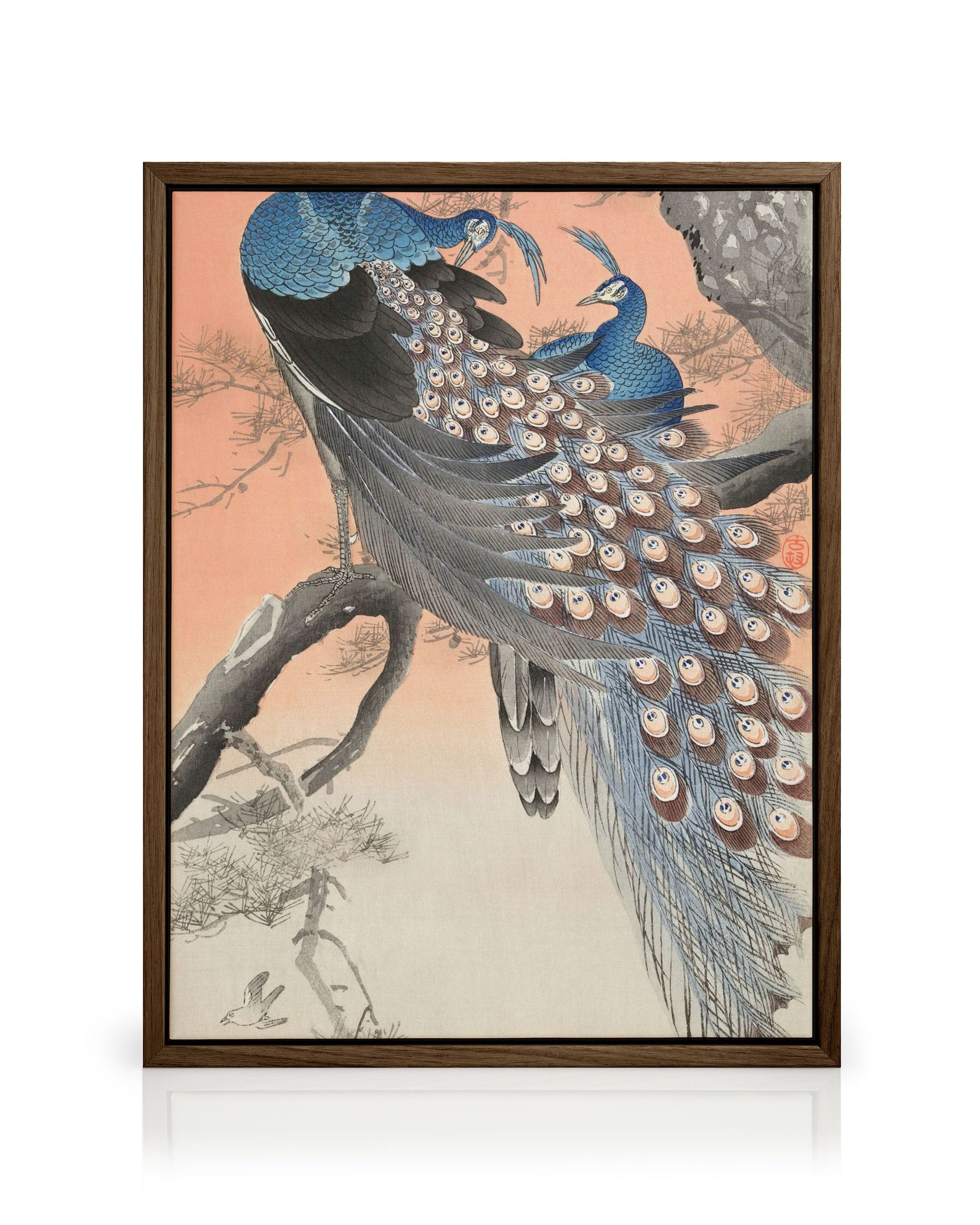Ohara Koson Two Peacocks Canvas Print | Wall Art UK