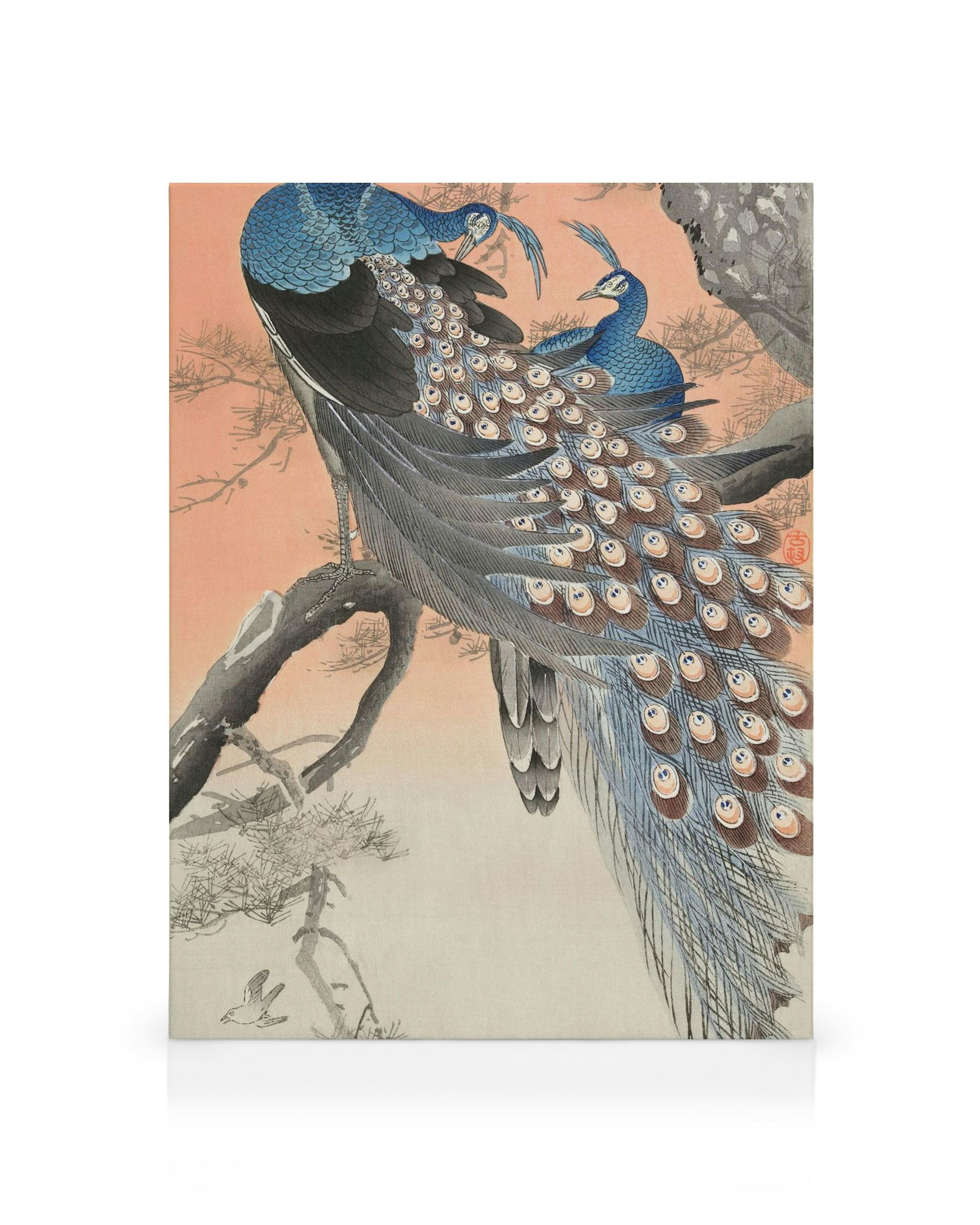 Lienzo Ohara Koson: Dos pavos reales azules sobre rama, uno con cola de plumas, fondo melocotón y gris.
