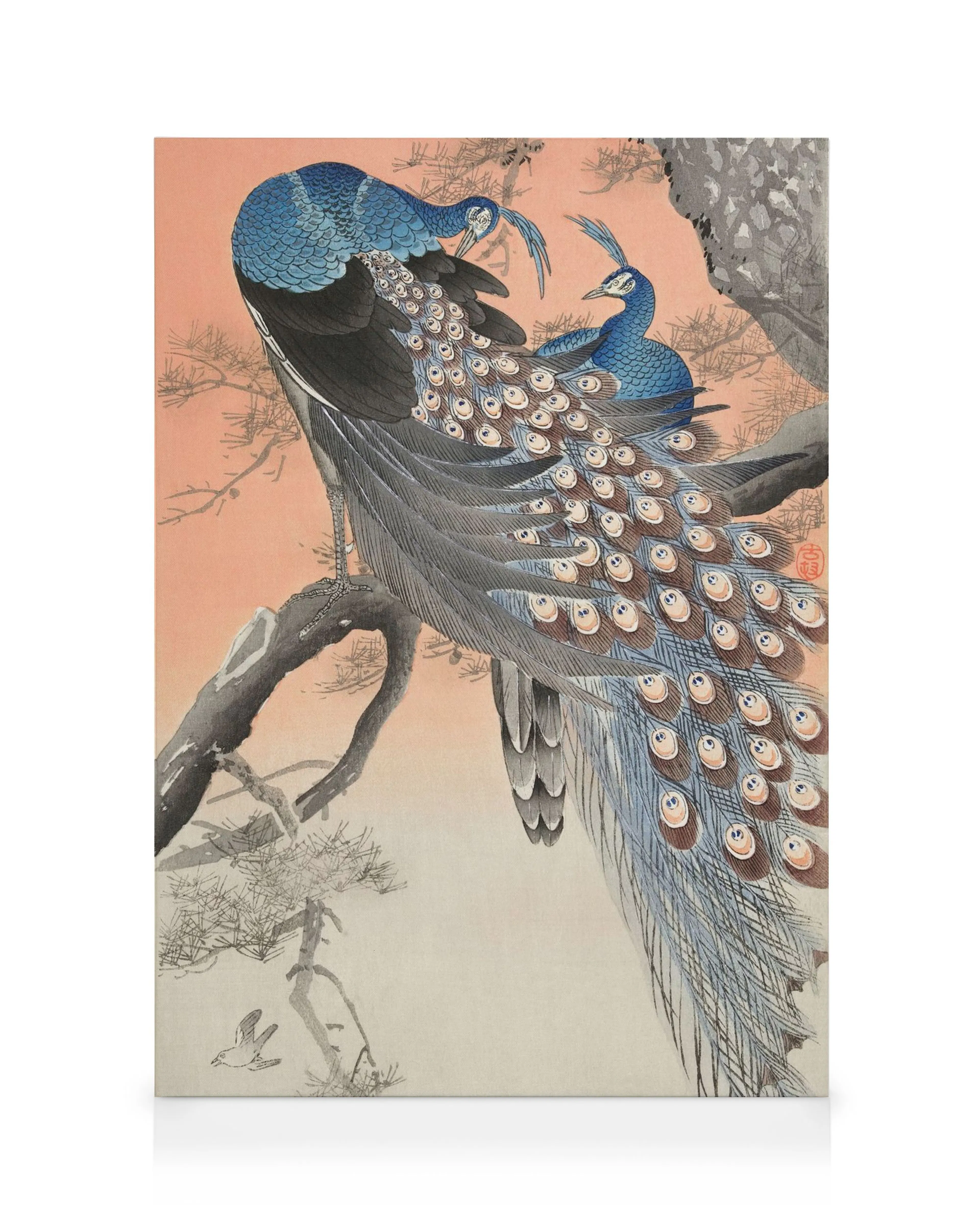 Ohara Koson japansk kunstlærred med to påfugle, der sidder på en gren mod en ferskenfarvet himmel, detaljerede fjer.