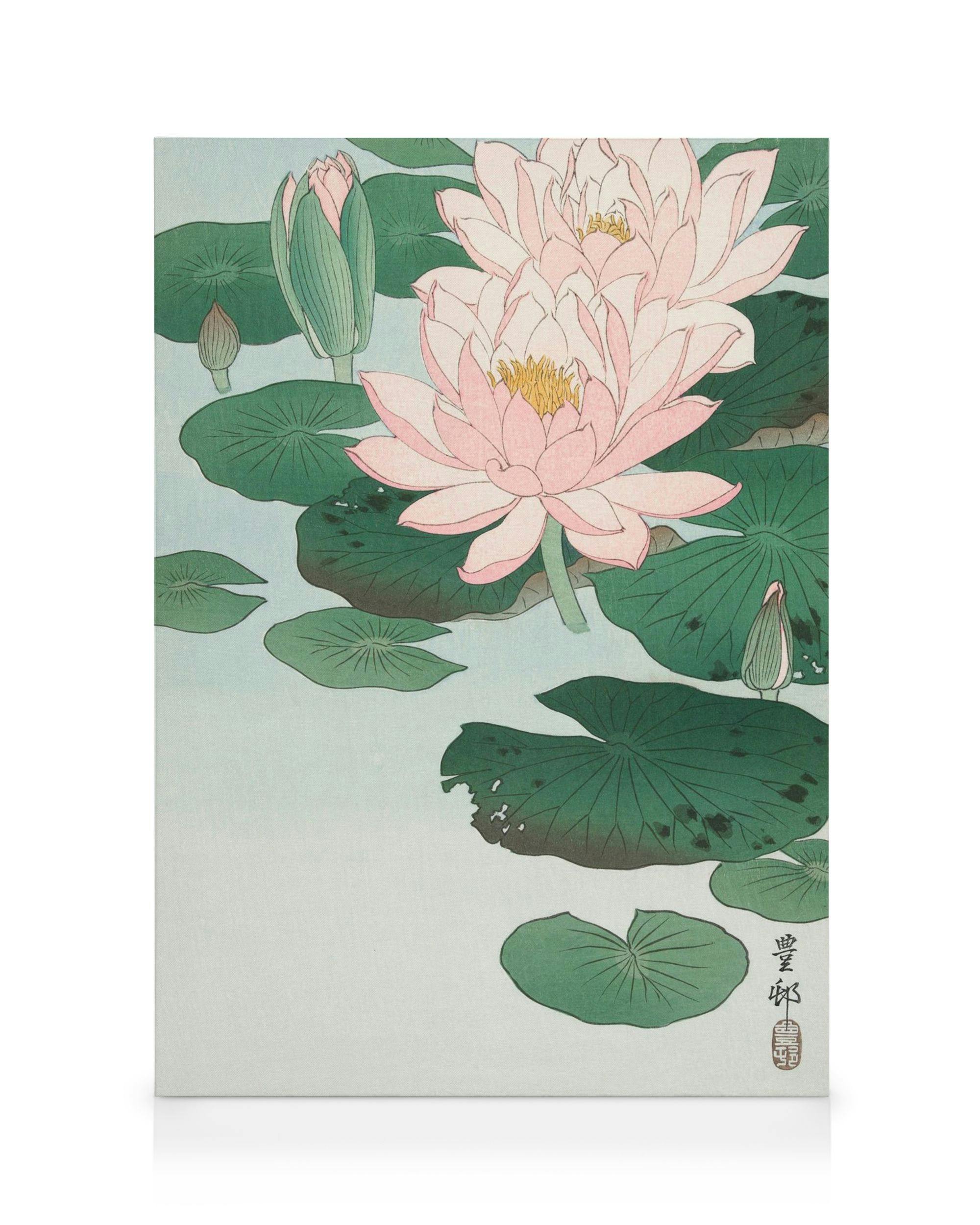 Ohara Koson water lily canvas print, delicate pink water lilies and green lily pads on a calm blue pond.