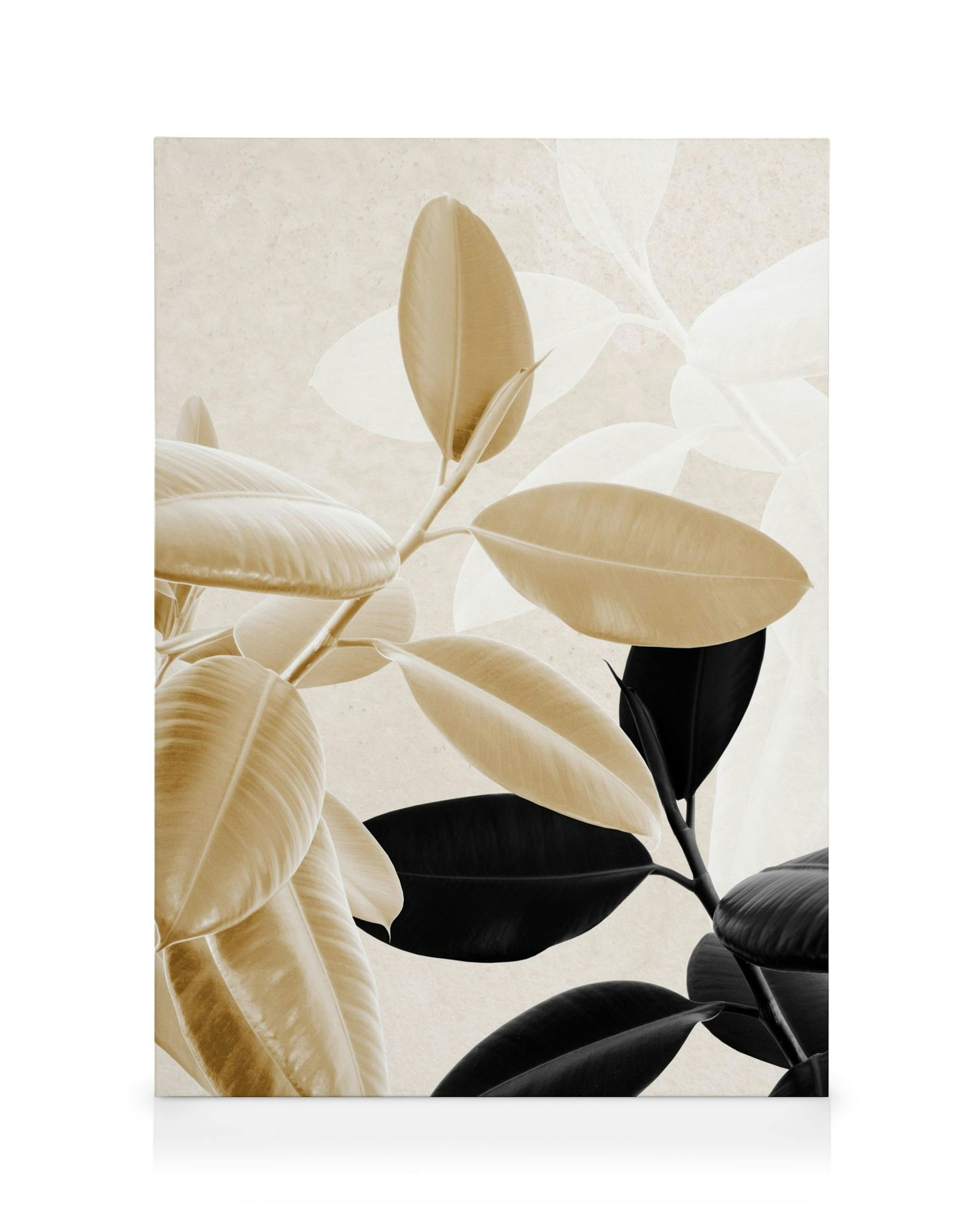 Leinwanddruck mit goldenen und schwarzen Gummibaumblättern auf hellem Hintergrund, botanisches Design.