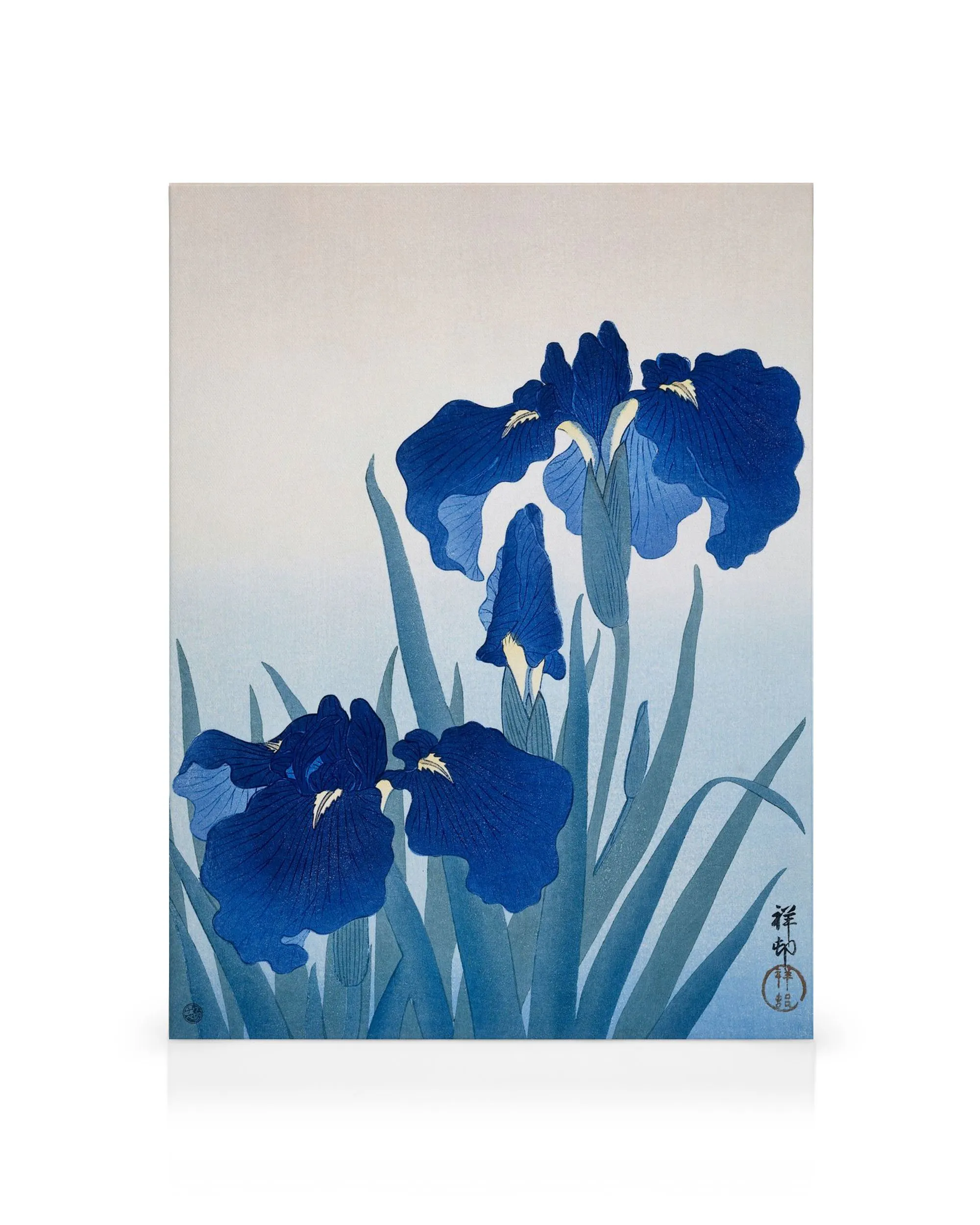 Obraz Ohara Koson: fialové kvety kosatca s listami na svetlom modrom pozadí, japonské umenie.