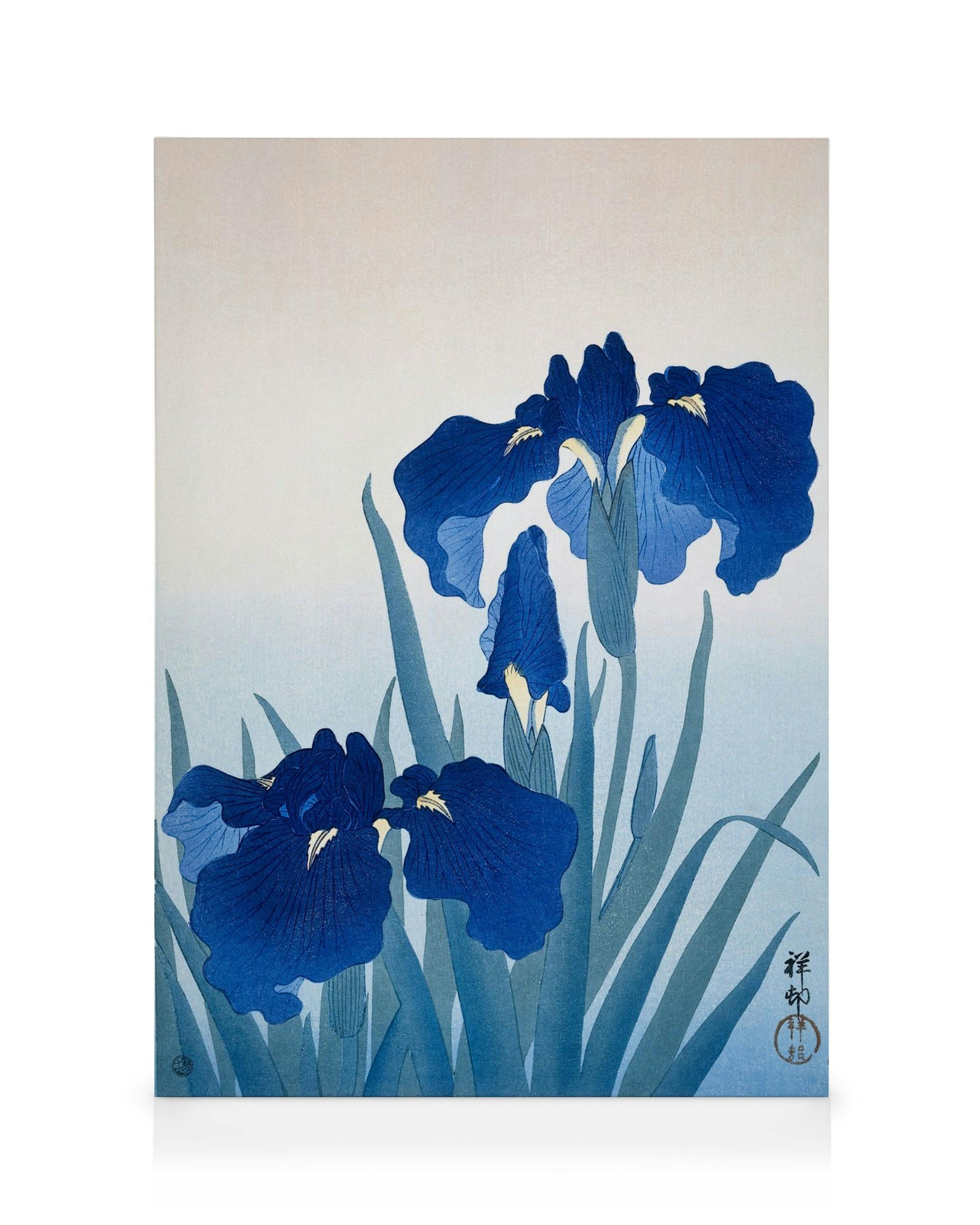 Ohara Koson lerret med blå irisblomster og grønne blader mot en lys bakgrunn, japansk kunststil.