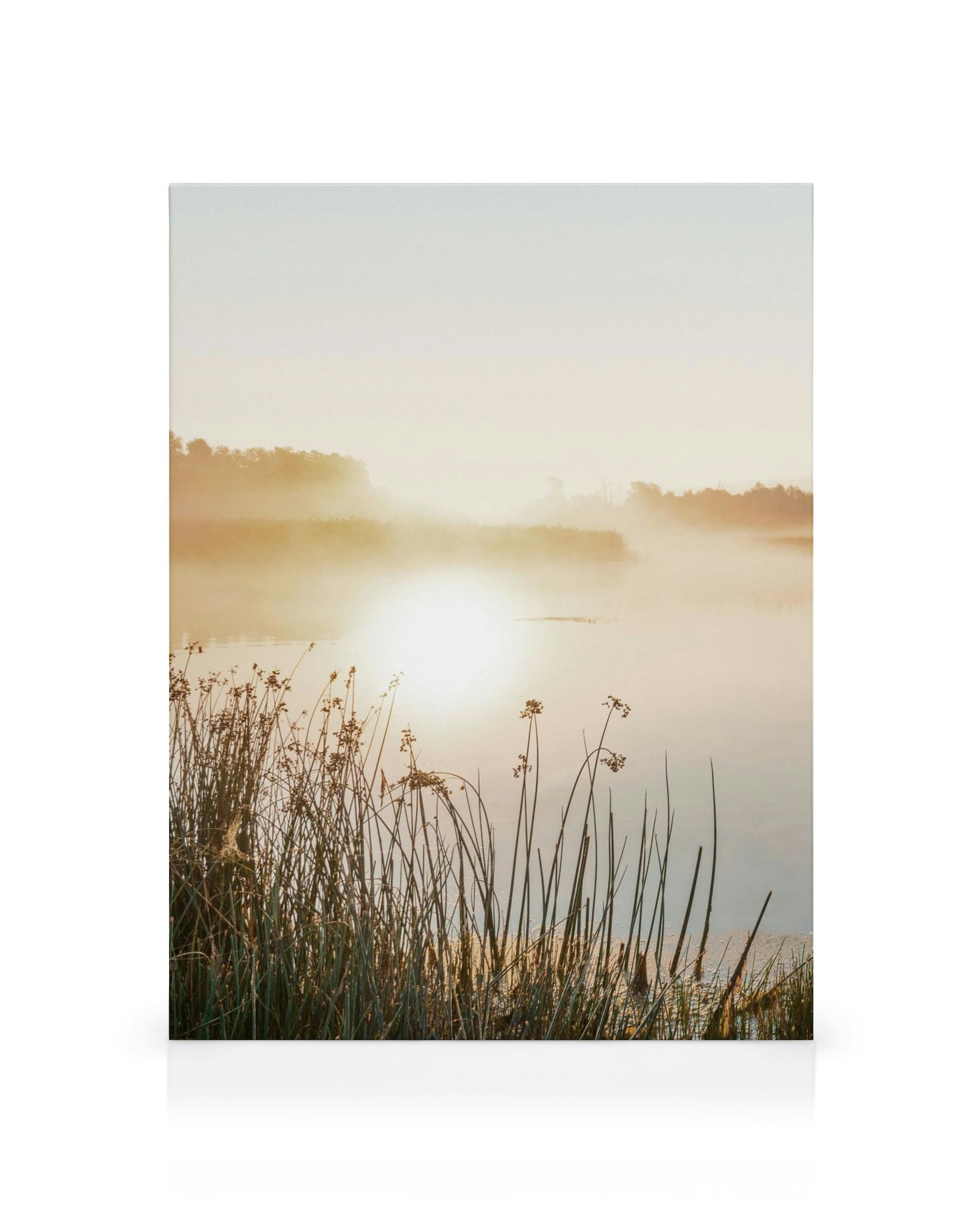 Lienzo de lago brumoso al amanecer con sol reflejado y hierbas en primer plano, tonos dorados.